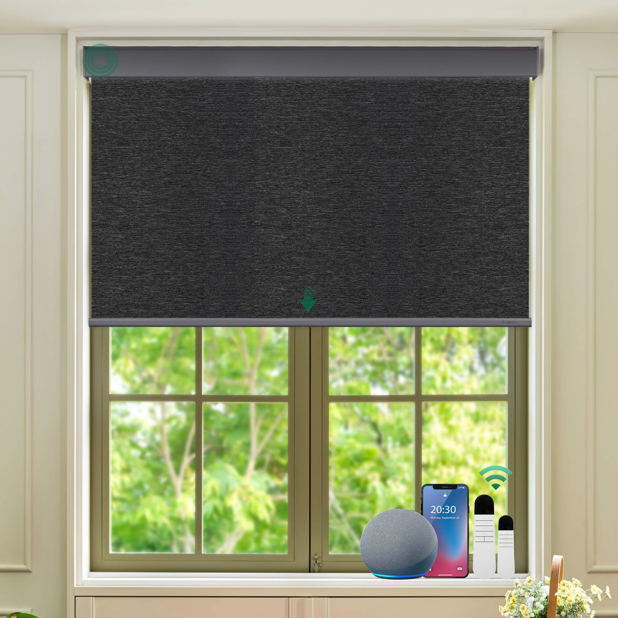 Allesin Select Motorized Blackout Roller Shades