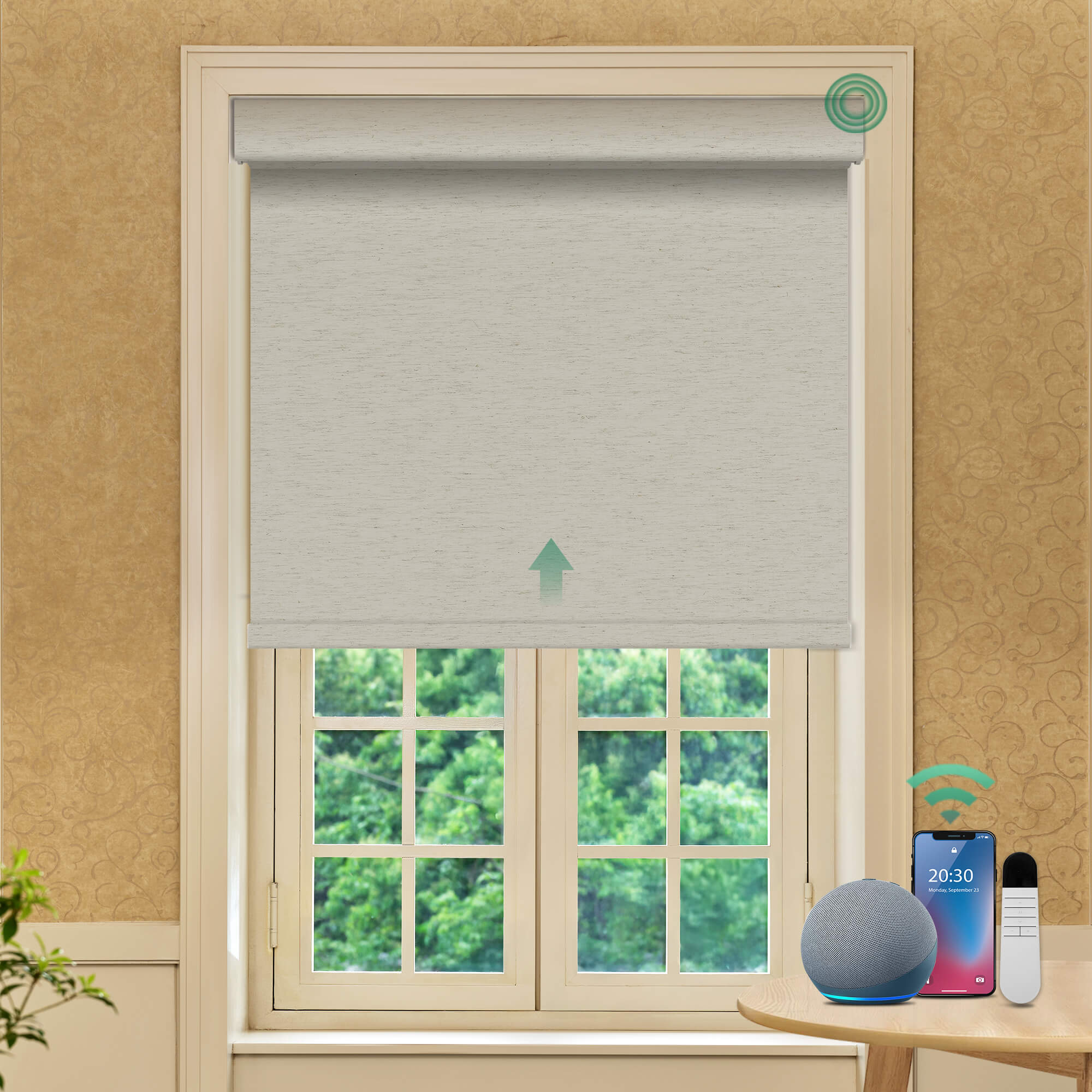 Allesin Prestige Motorized Blackout Roller Shades