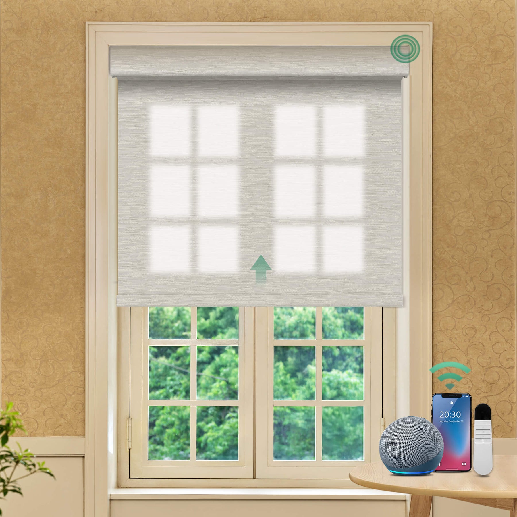 Allesin No-Drill Motorized Roller Shades | Light Filtering