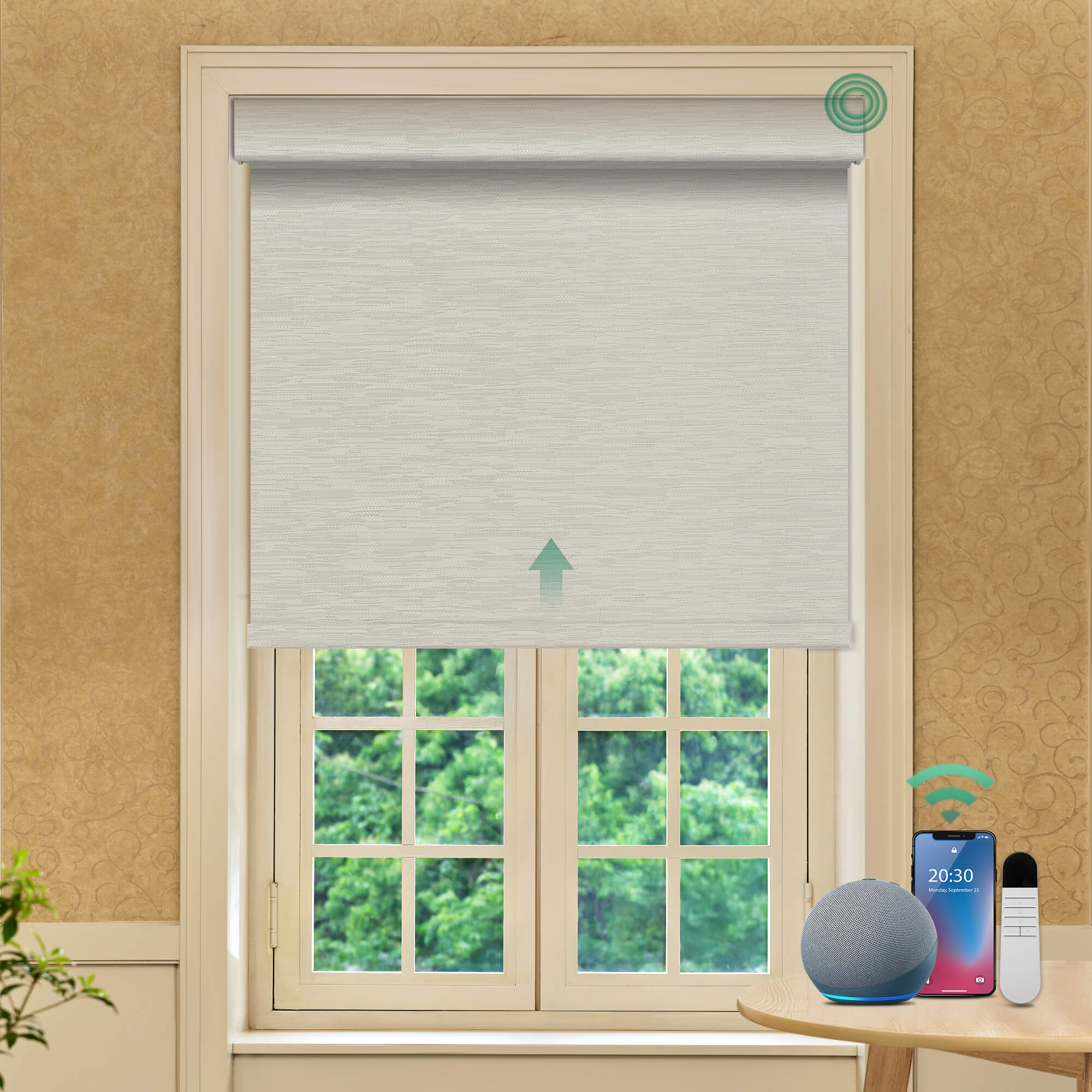 Allesin Prestige Motorized Blackout Roller Shades