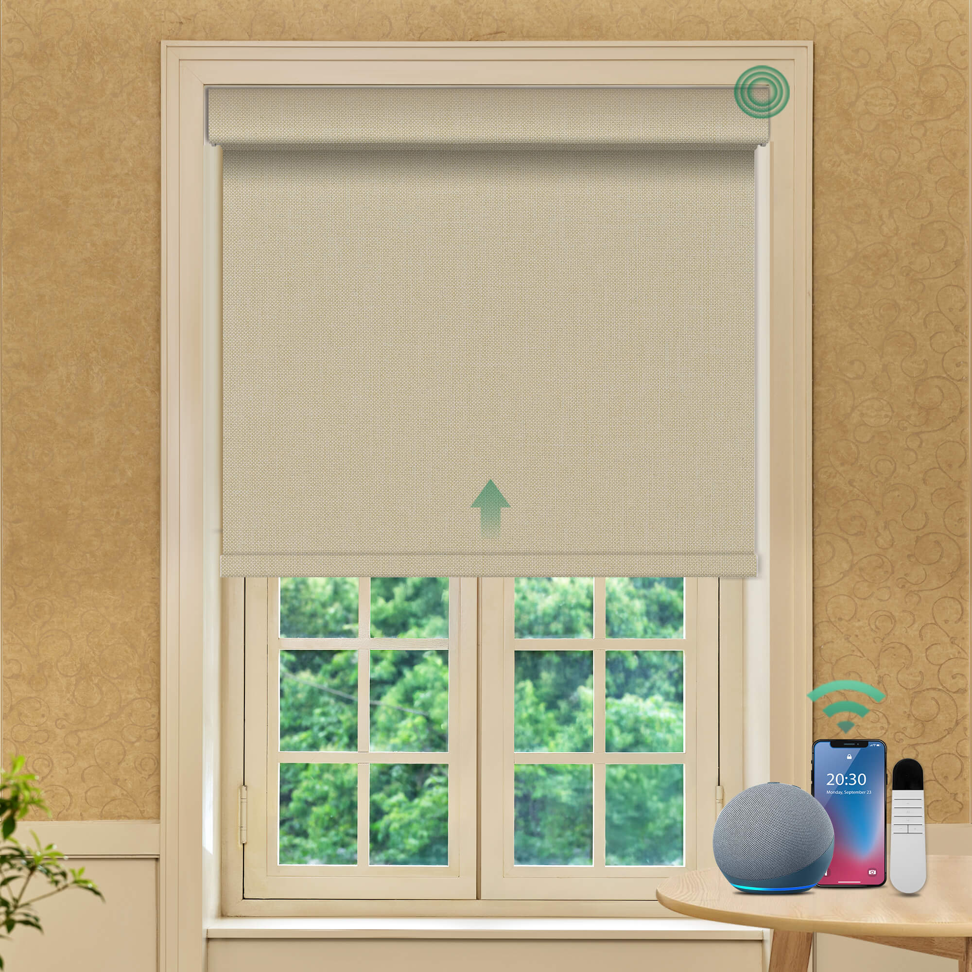 Allesin Prestige Motorized Blackout Roller Shades