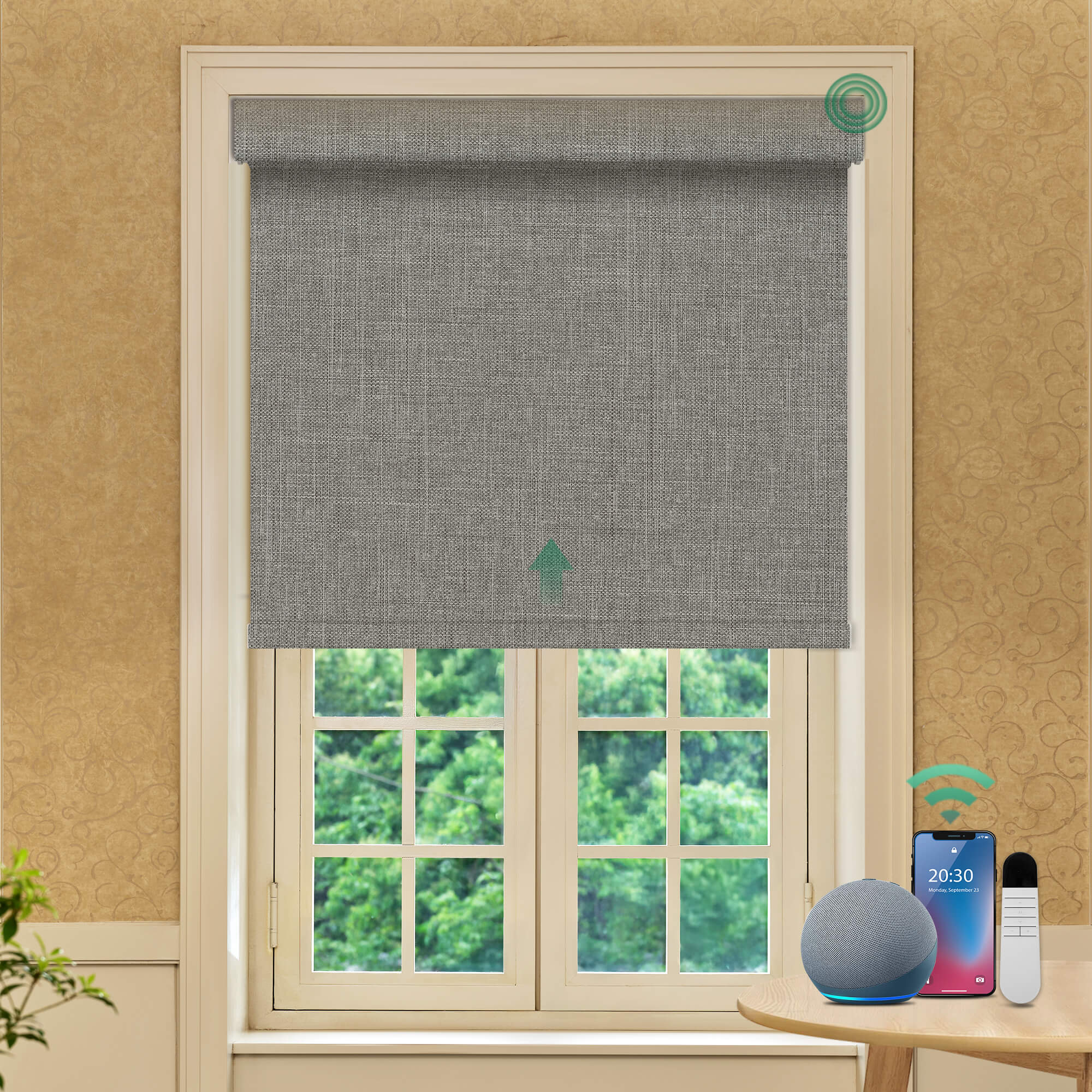 Allesin Prestige Motorized Blackout Roller Shades