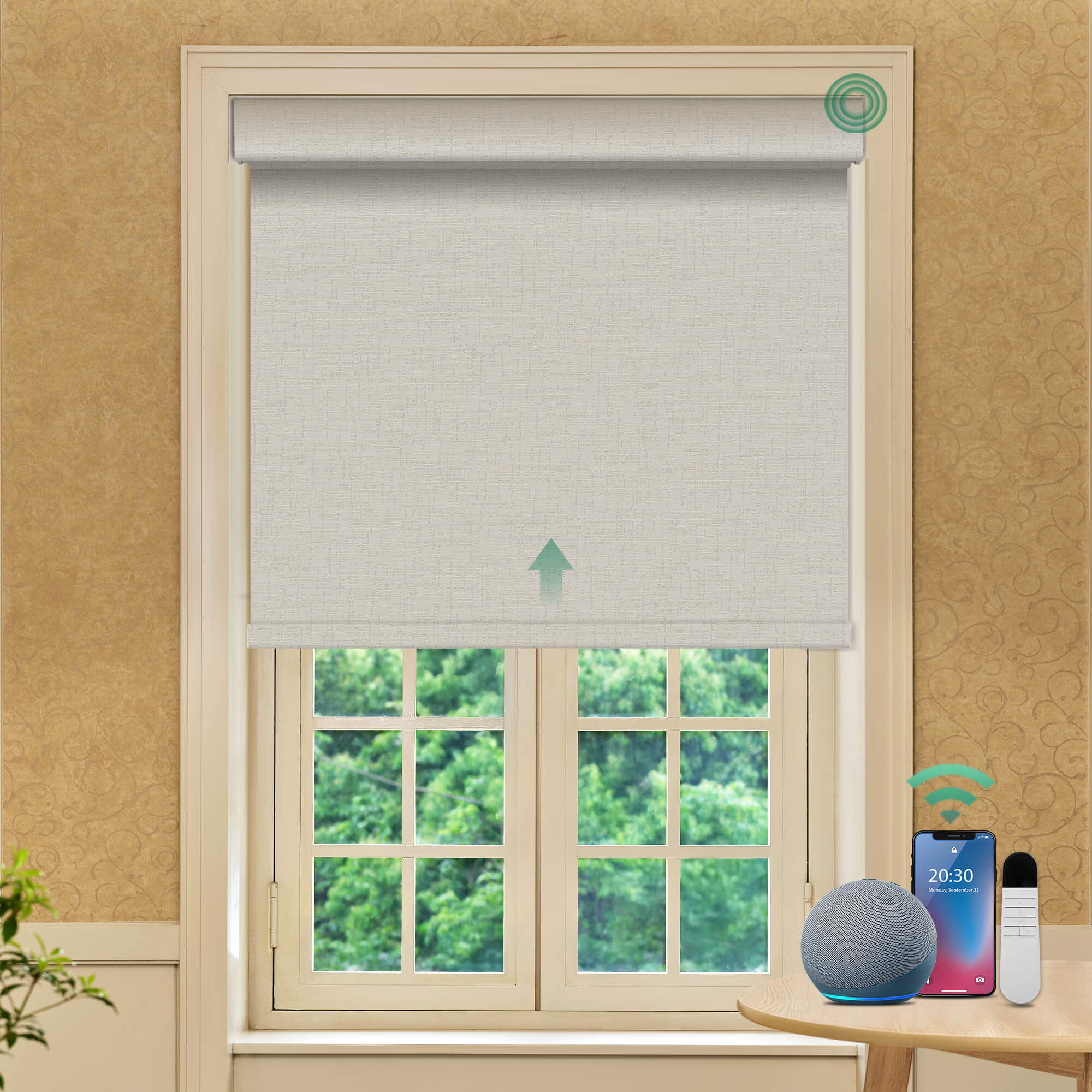 Allesin Prestige Motorized Blackout Roller Shades