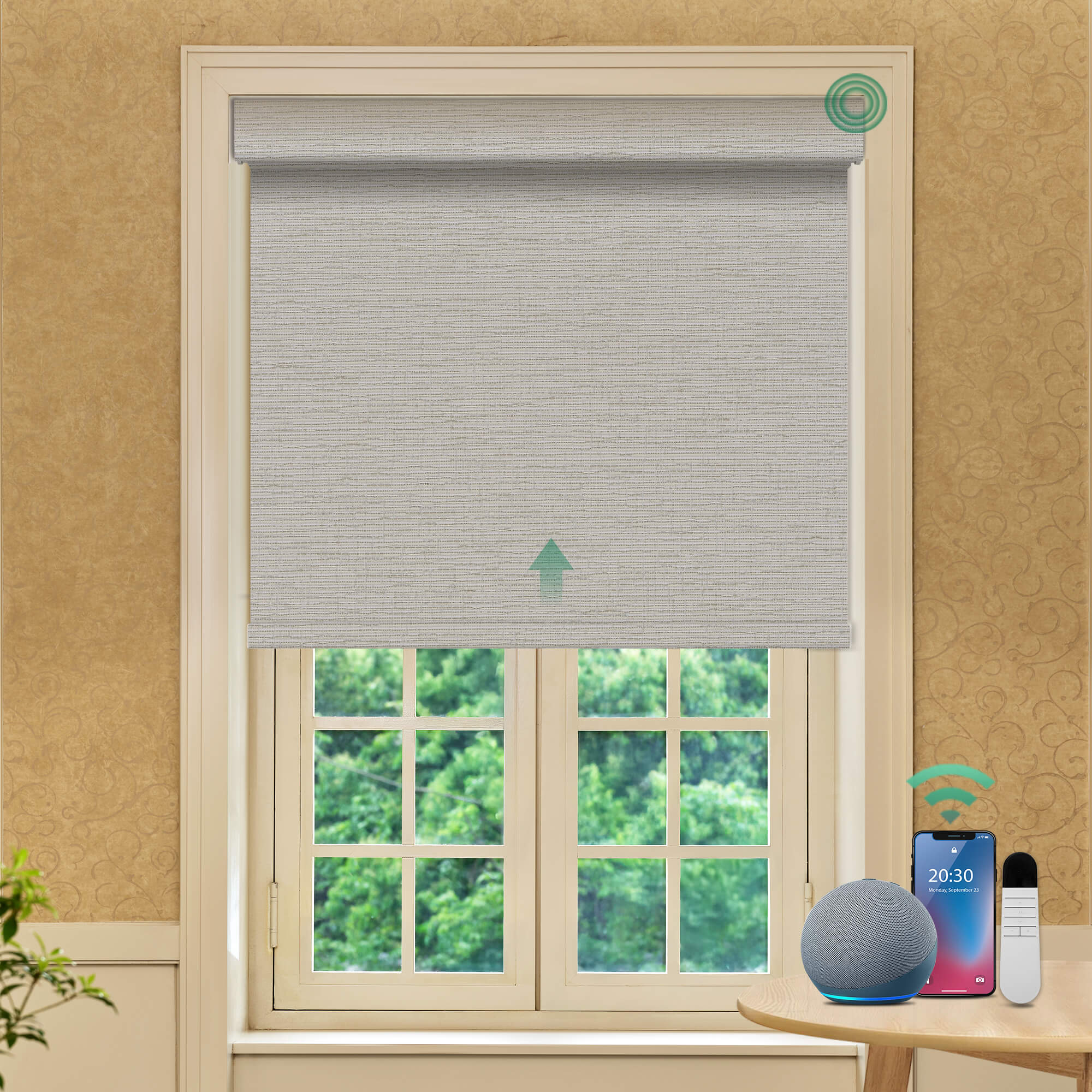 Allesin Prestige Motorized Blackout Roller Shades