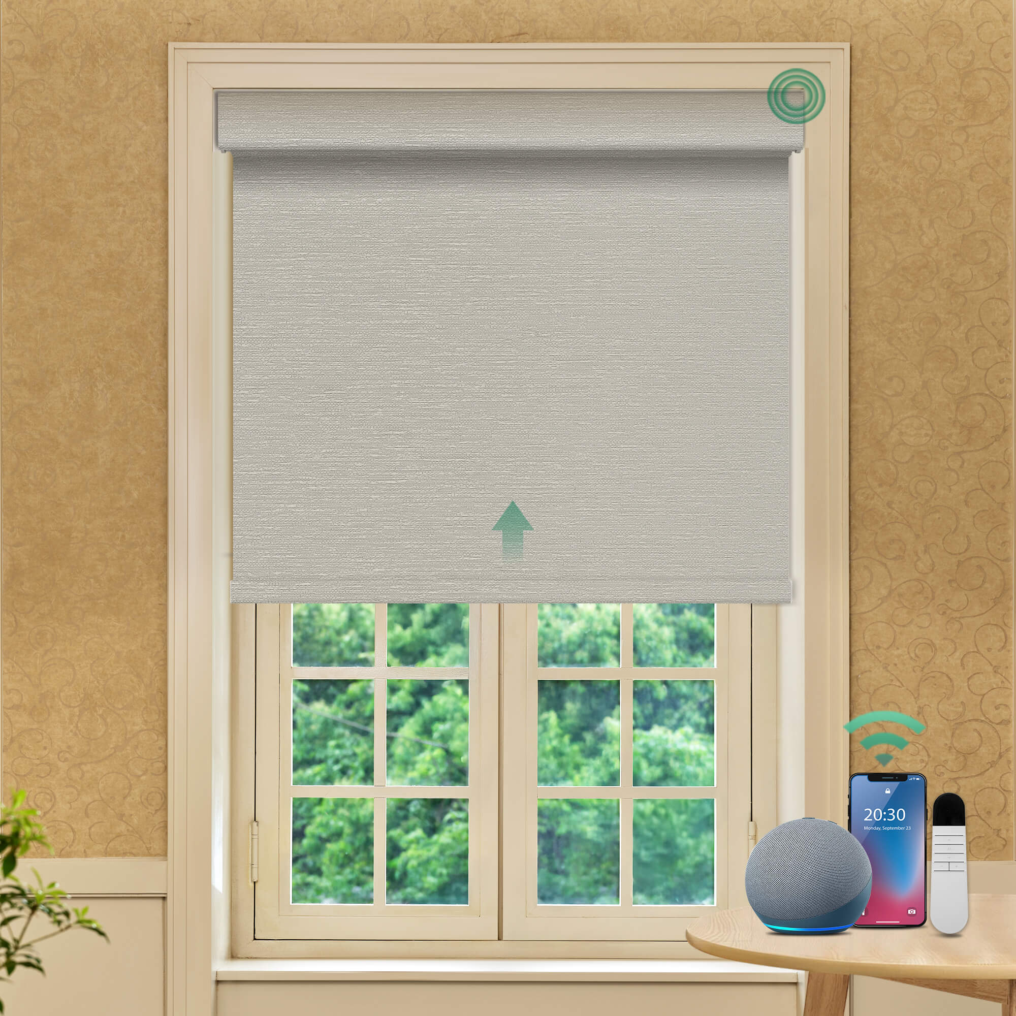 Allesin Prestige Motorized Blackout Roller Shades