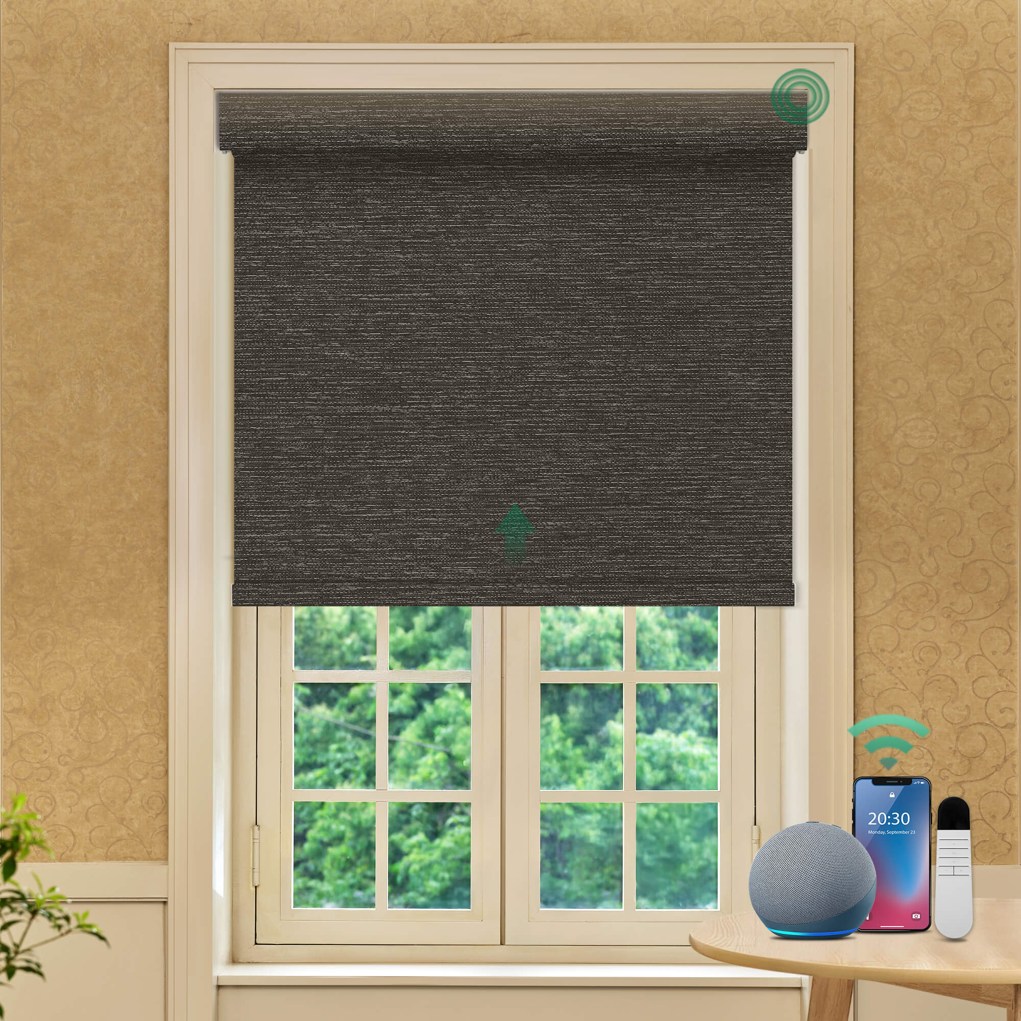 Allesin Prestige Motorized Blackout Roller Shades