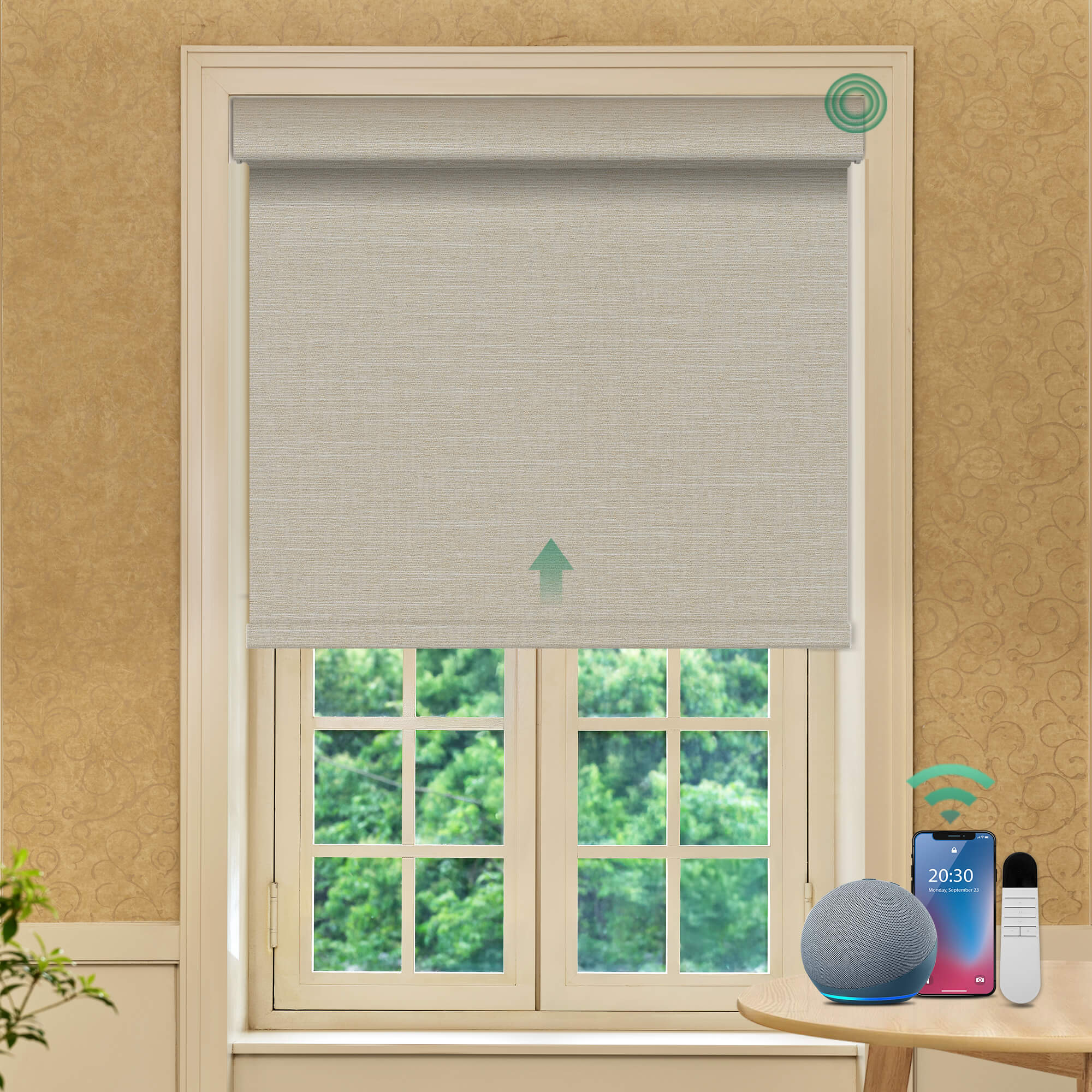 Allesin Prestige Motorized Blackout Roller Shades