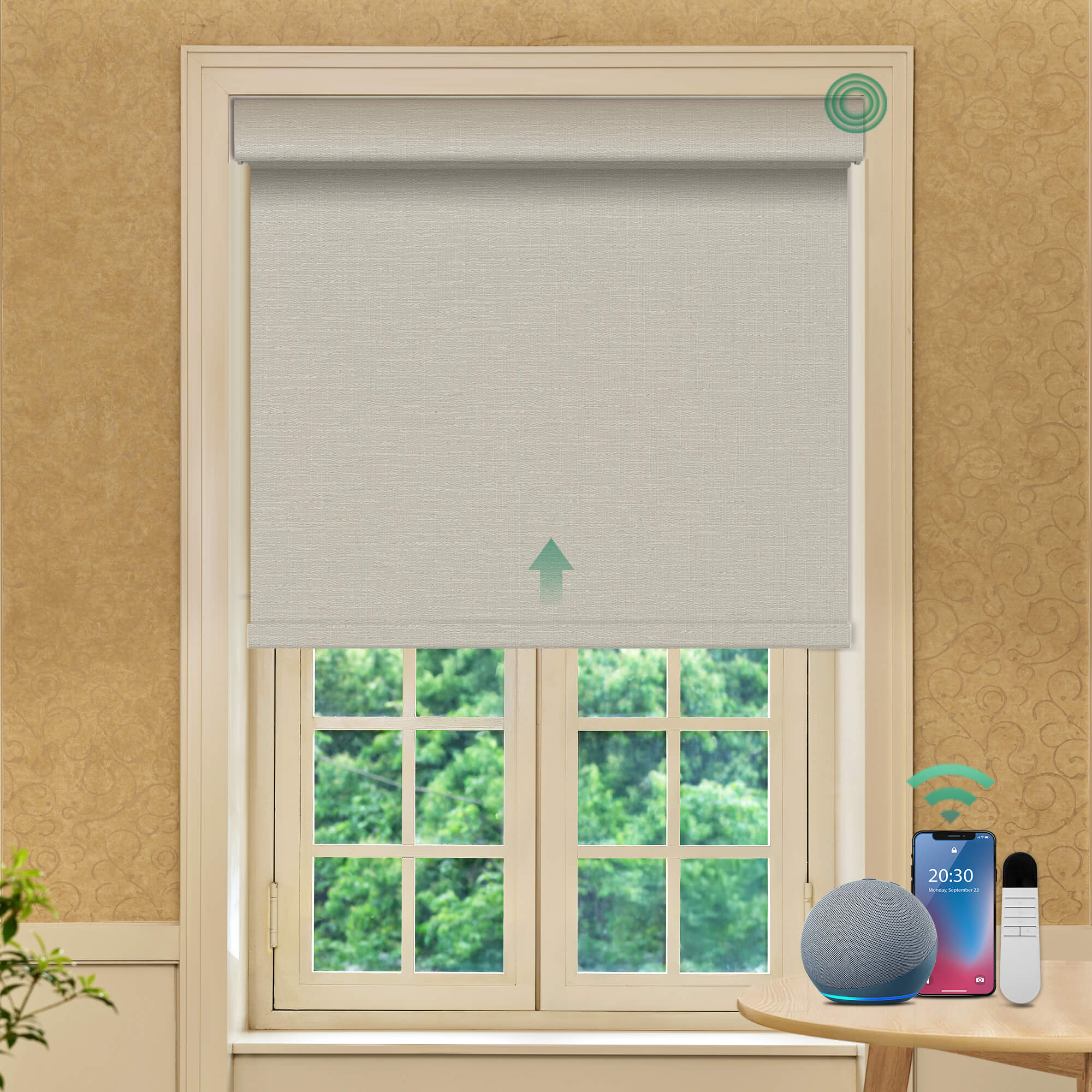 Allesin Prestige Motorized Blackout Roller Shades