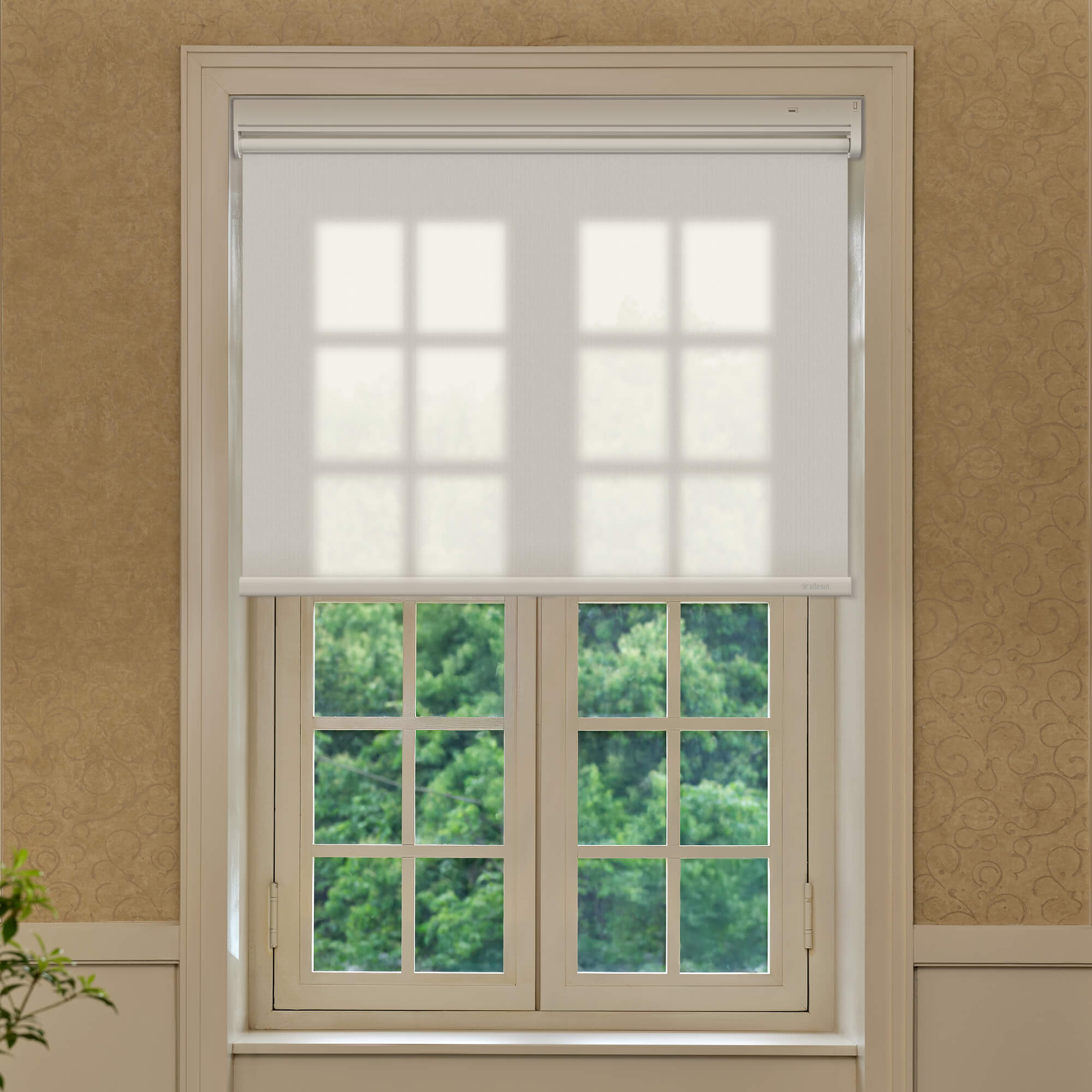 Allesin Best-Value Motorized Light Filtering Roller Shades