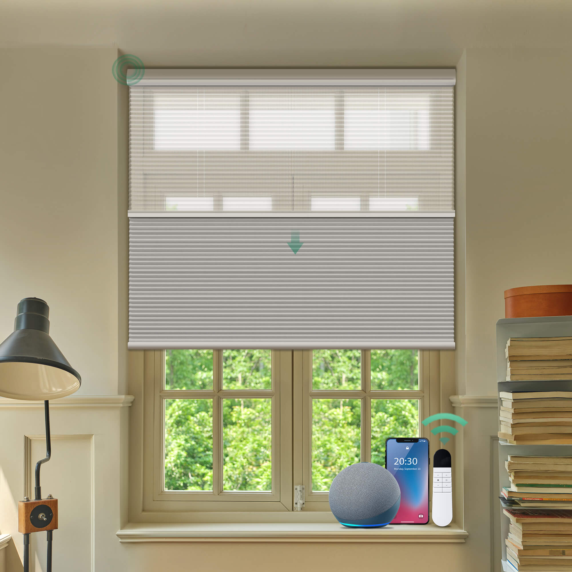 Allesin Prestige Motorized Day/Night Honeycomb Shades