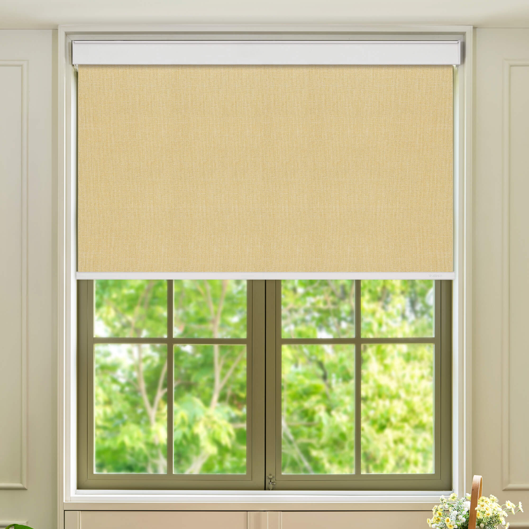 Allesin Select Motorized Blackout Roller Shades