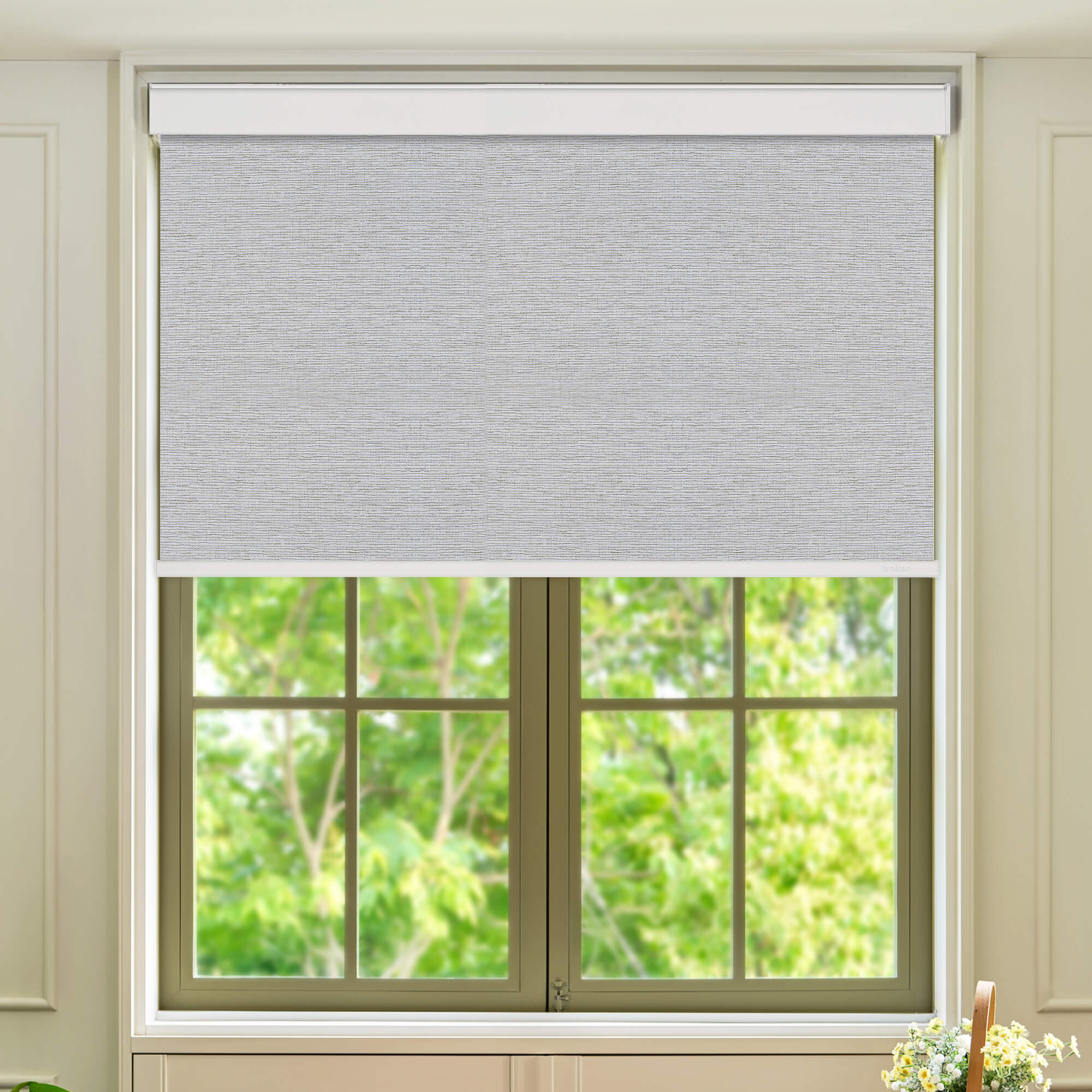 Allesin Select Motorized Blackout Roller Shades