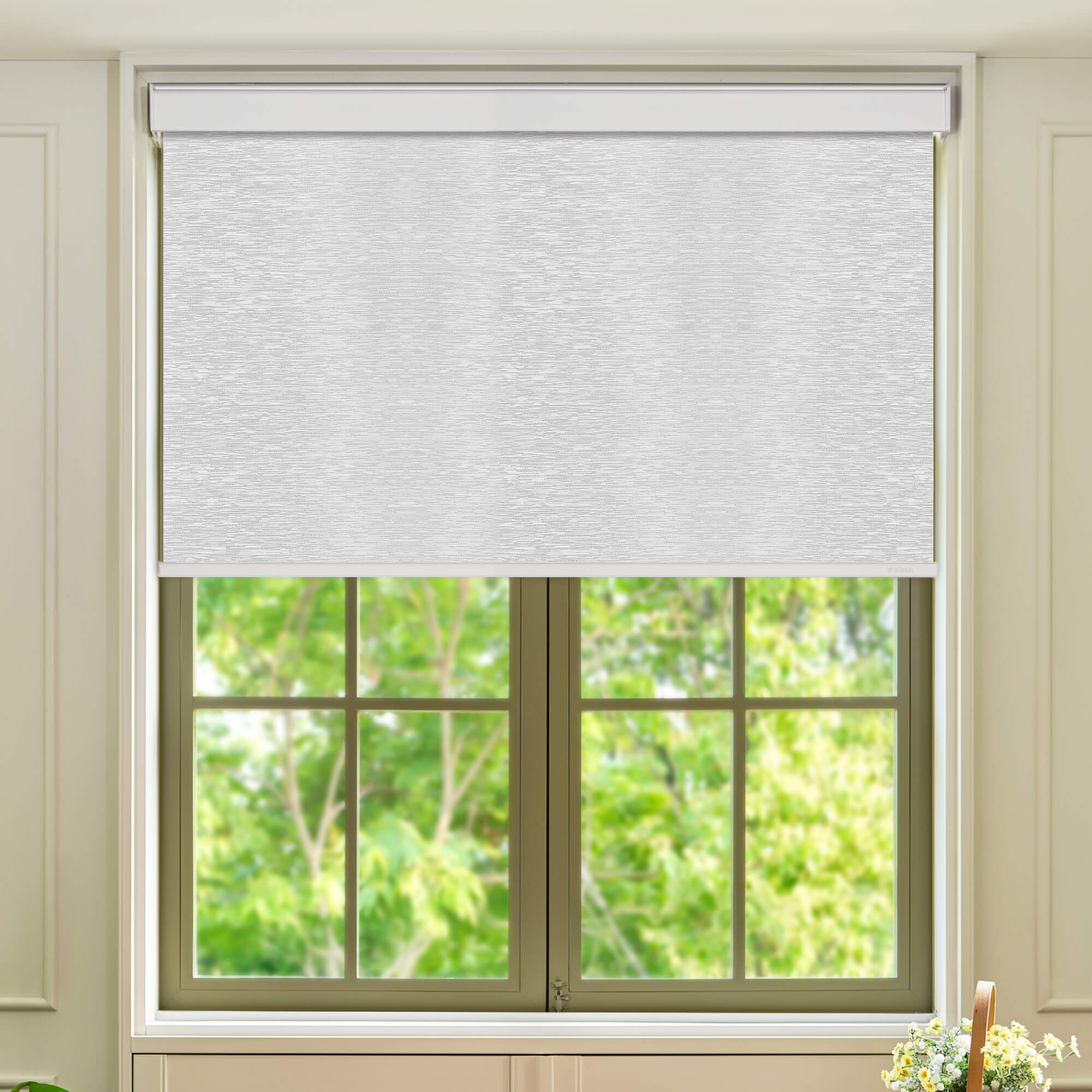 Allesin Select Motorized Blackout Roller Shades