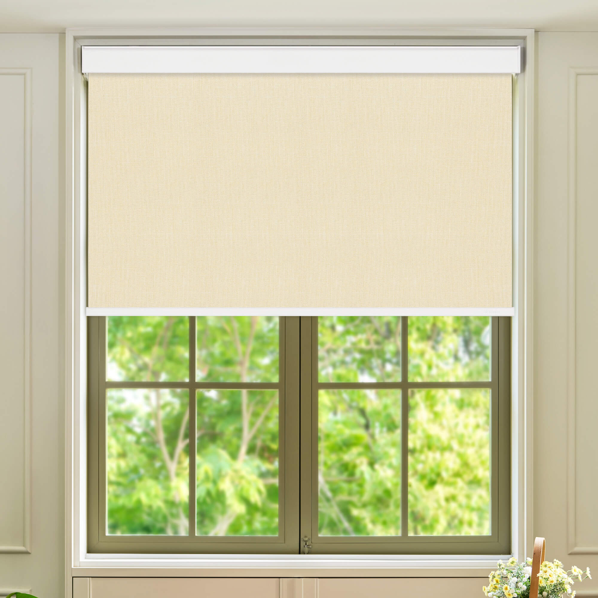 Allesin Select Motorized Blackout Roller Shades