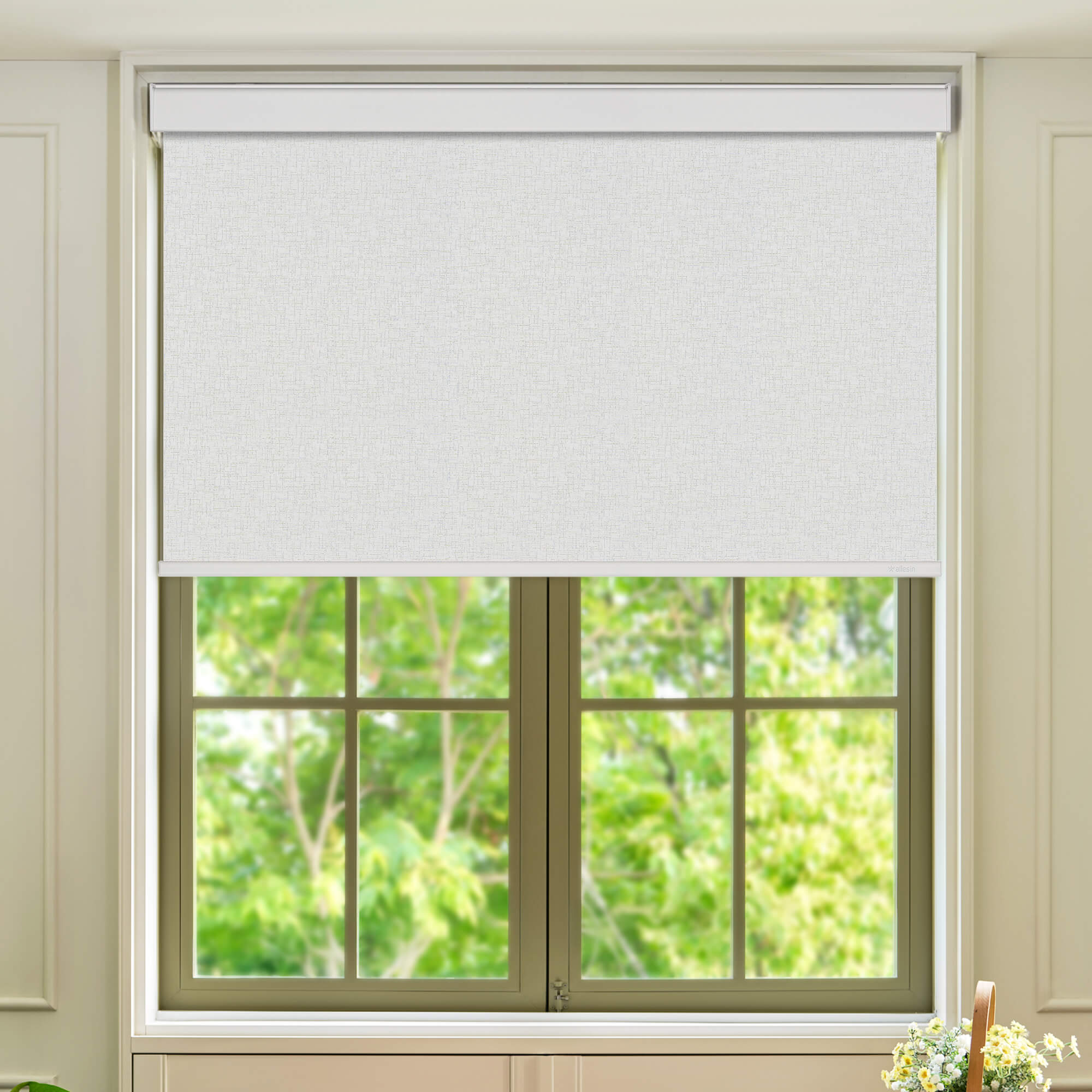 Allesin Select Motorized Blackout Roller Shades