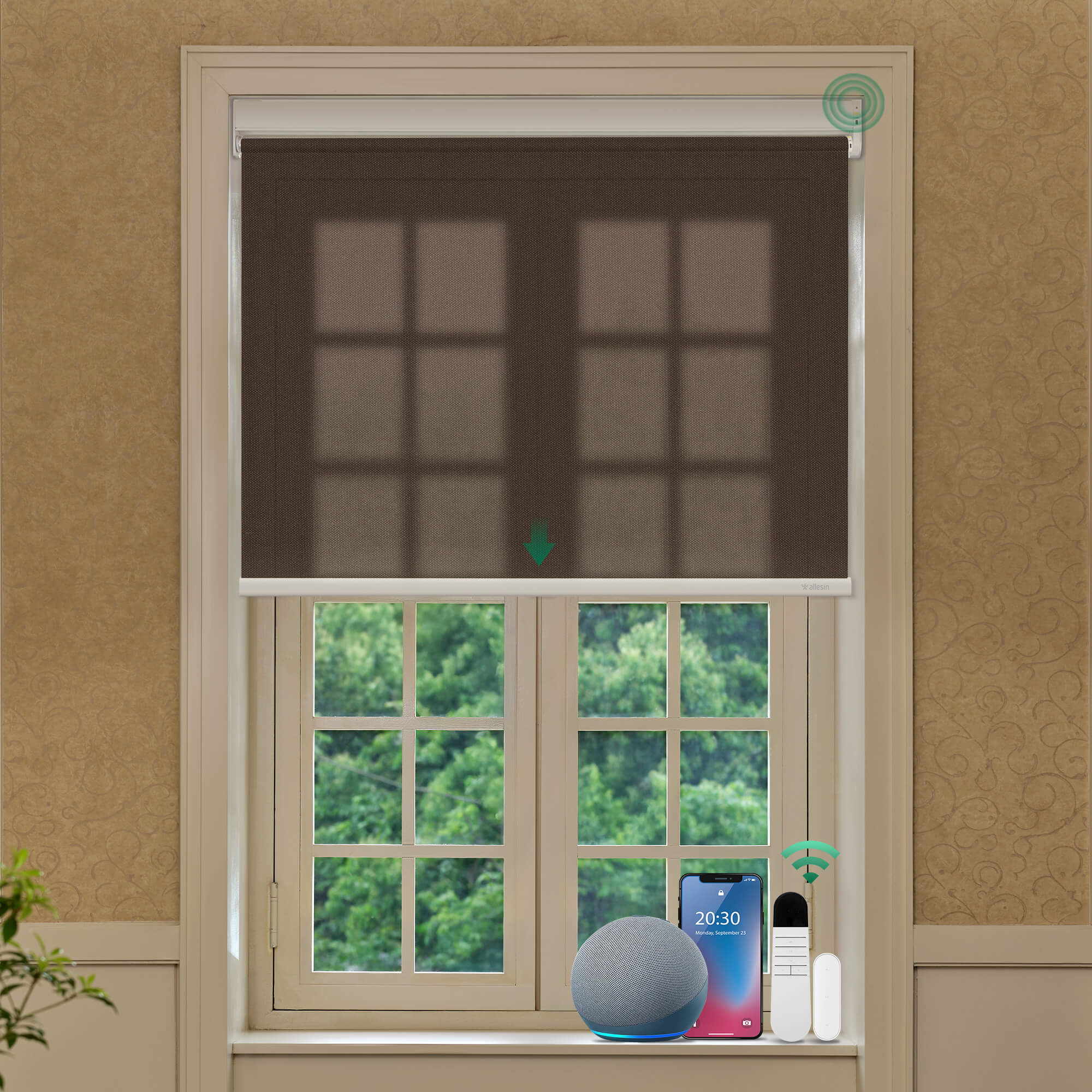 Allesin Best-Value Motorized Light Filtering Roller Shades