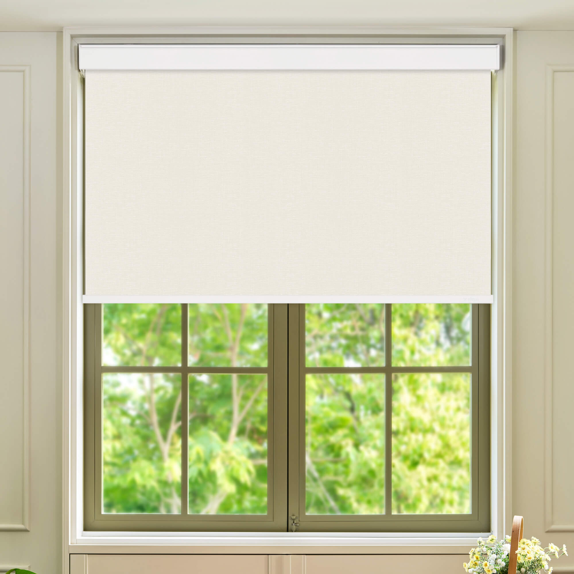Allesin Select Motorized Blackout Roller Shades