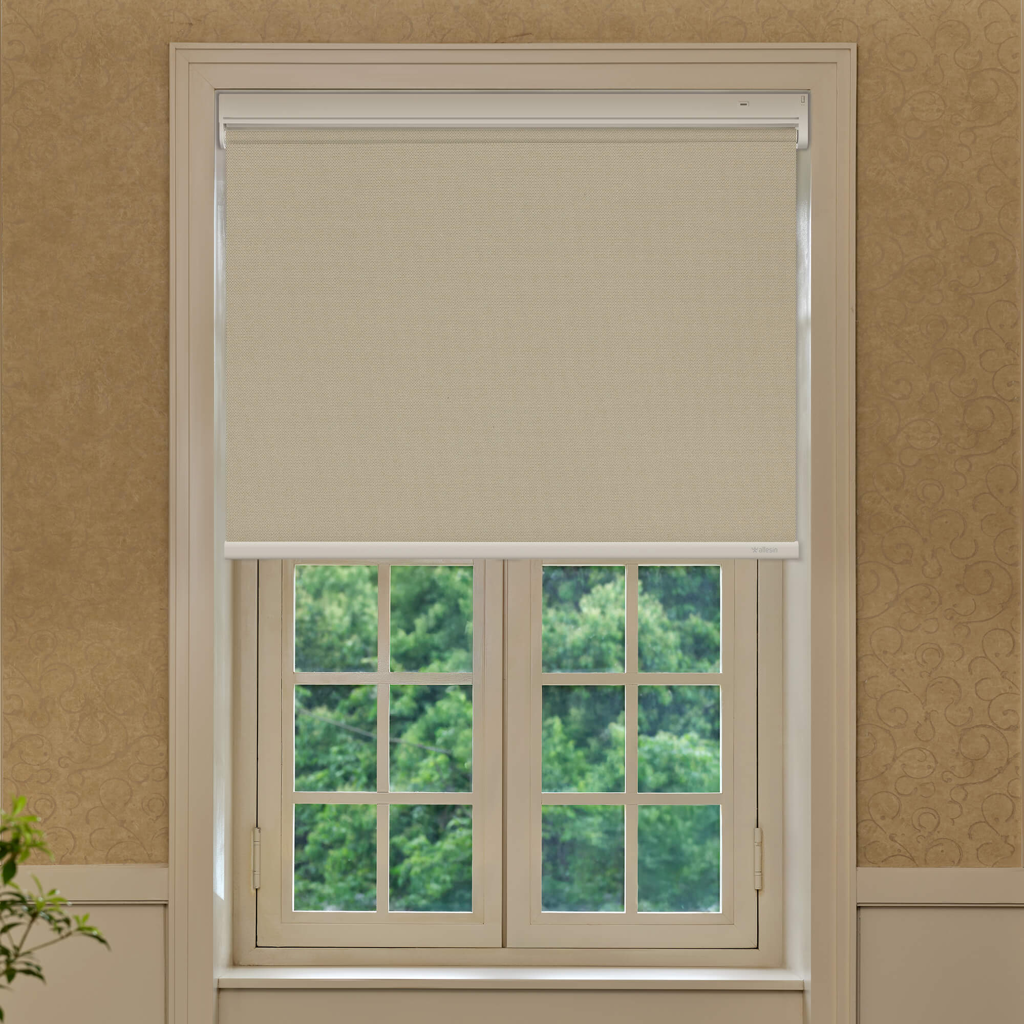 Allesin Best-Value Motorized Blackout Roller Shades