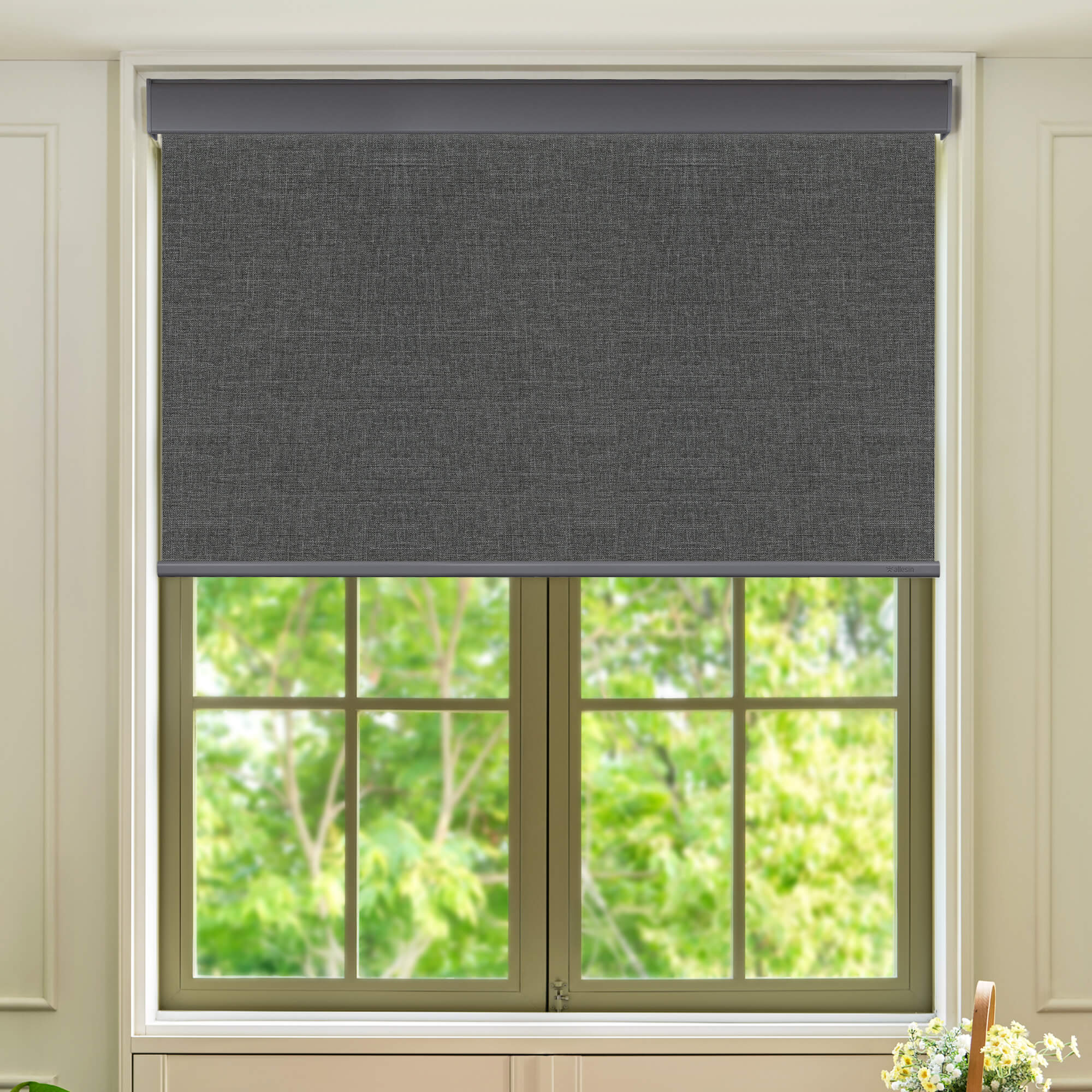 Allesin Select Motorized Blackout Roller Shades