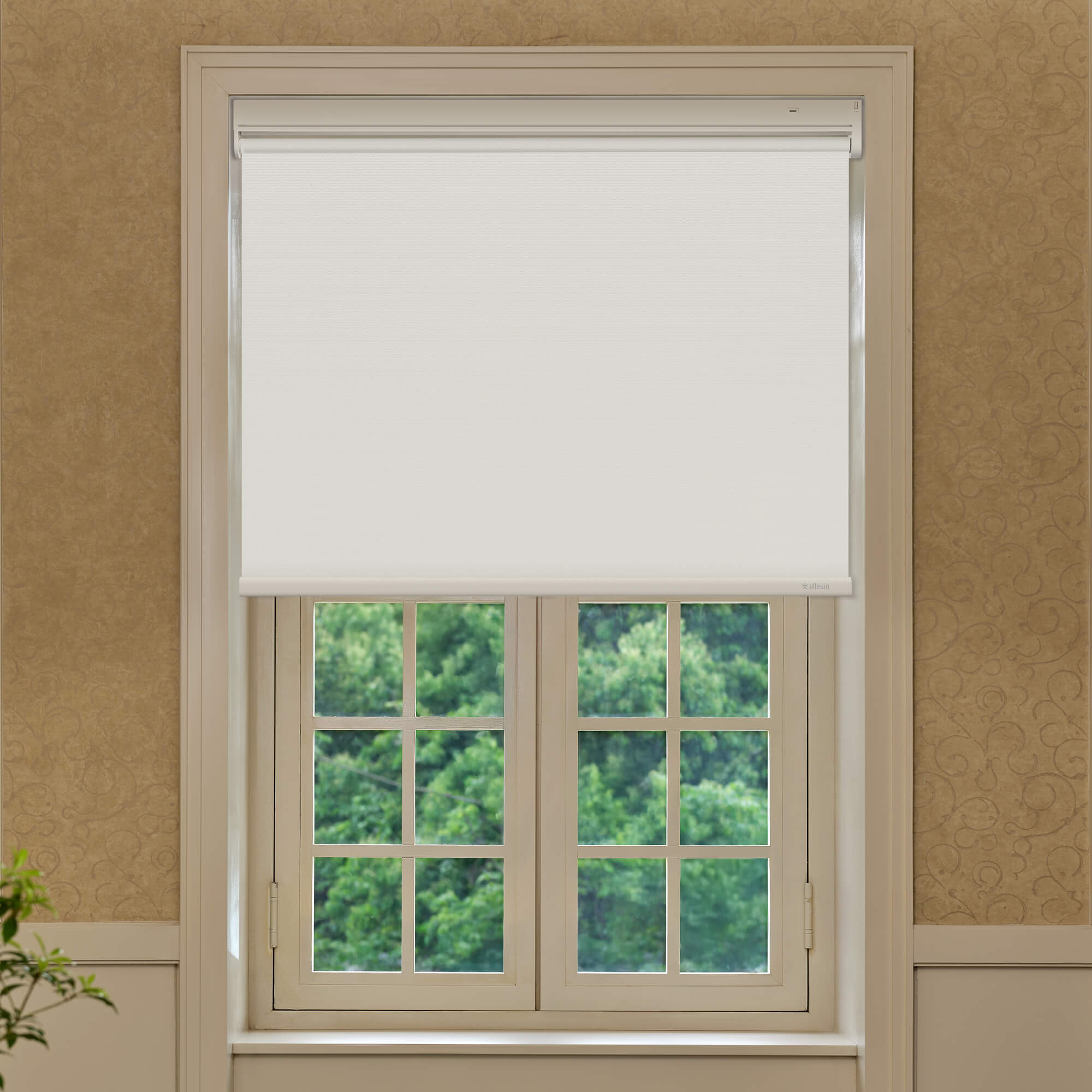 Allesin Best-Value Motorized Blackout Roller Shades