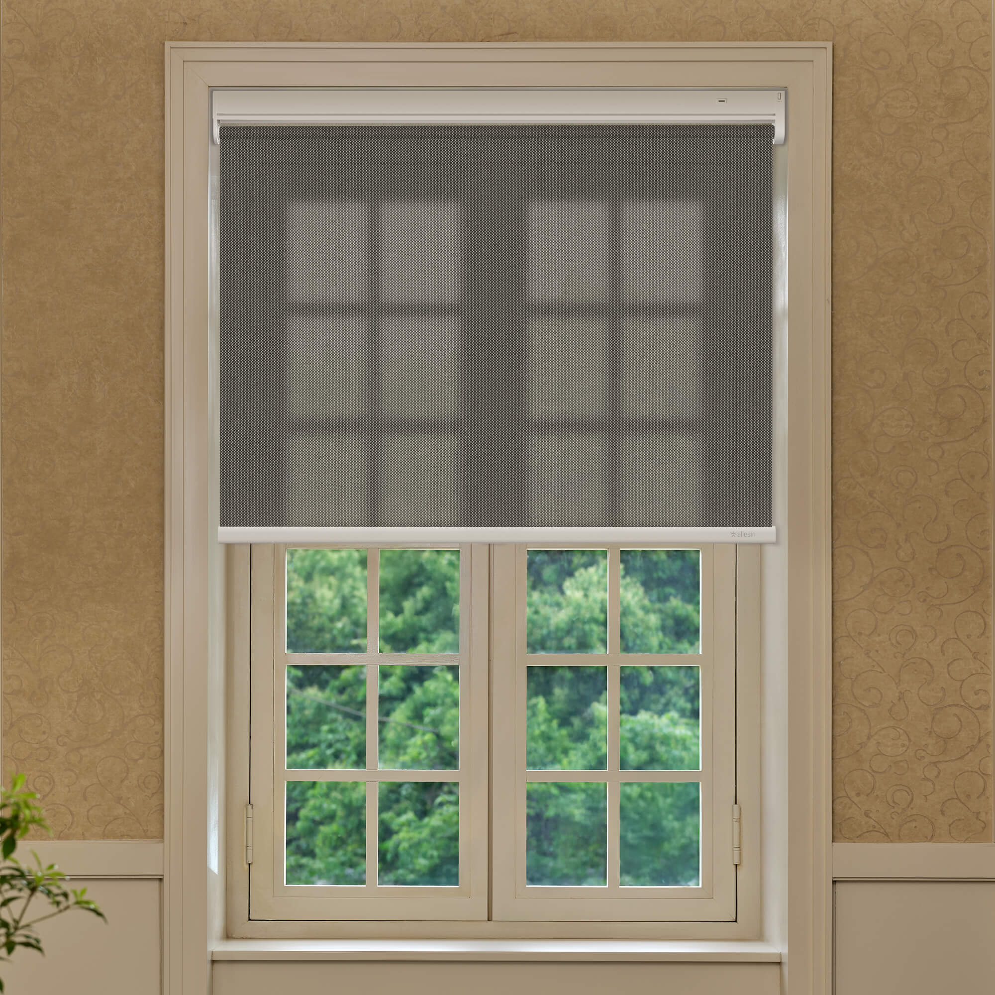 Allesin Best-Value Motorized Light Filtering Roller Shades