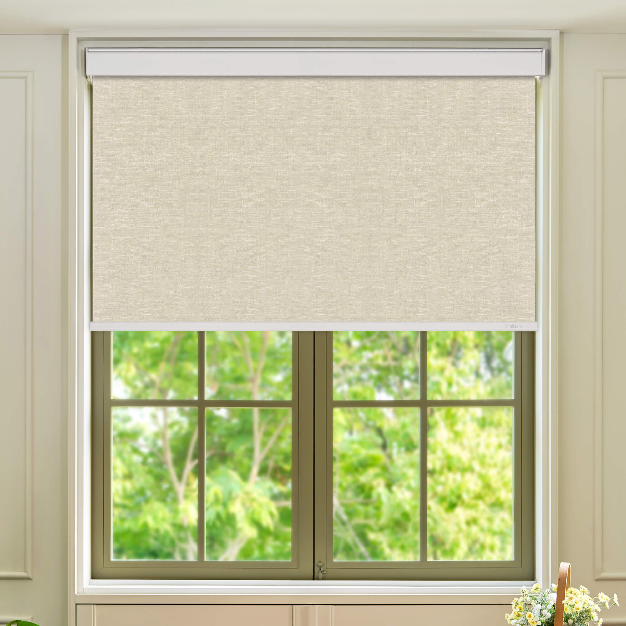 Allesin Select Motorized Blackout Roller Shades