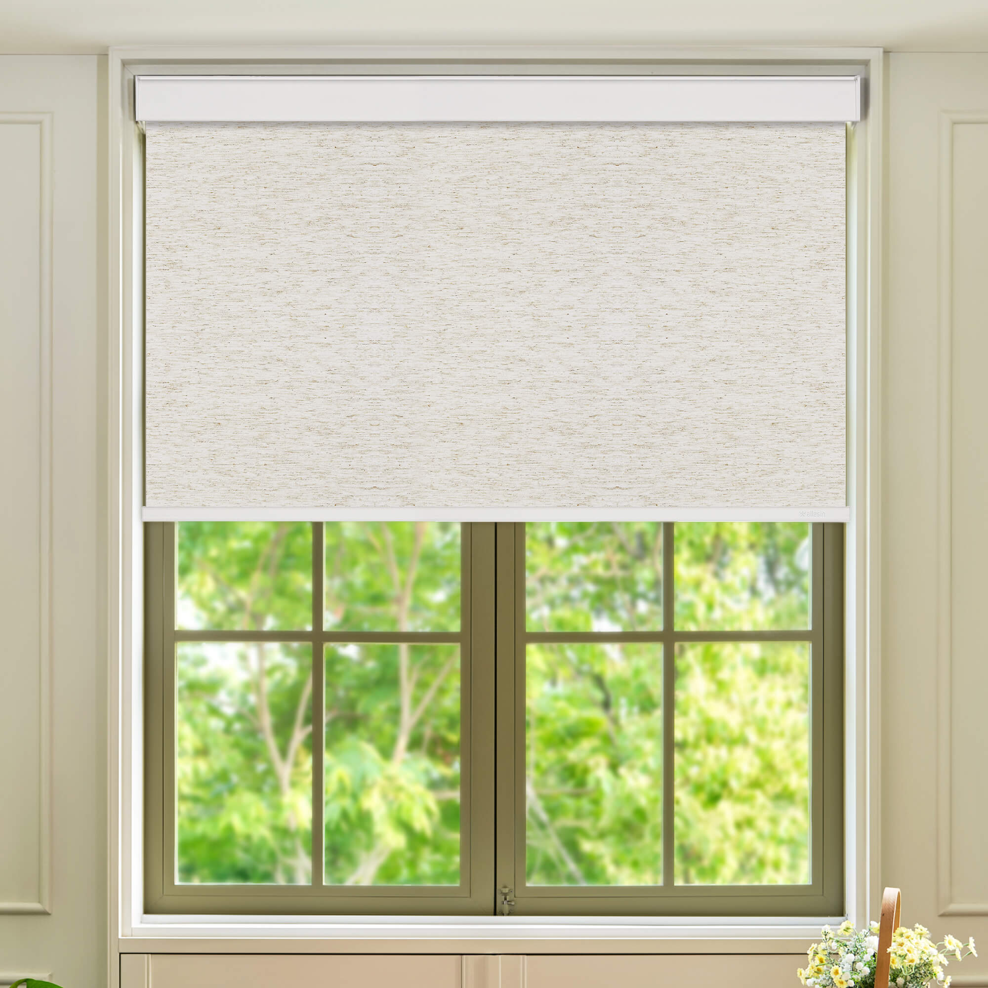 Allesin Select Motorized Blackout Roller Shades