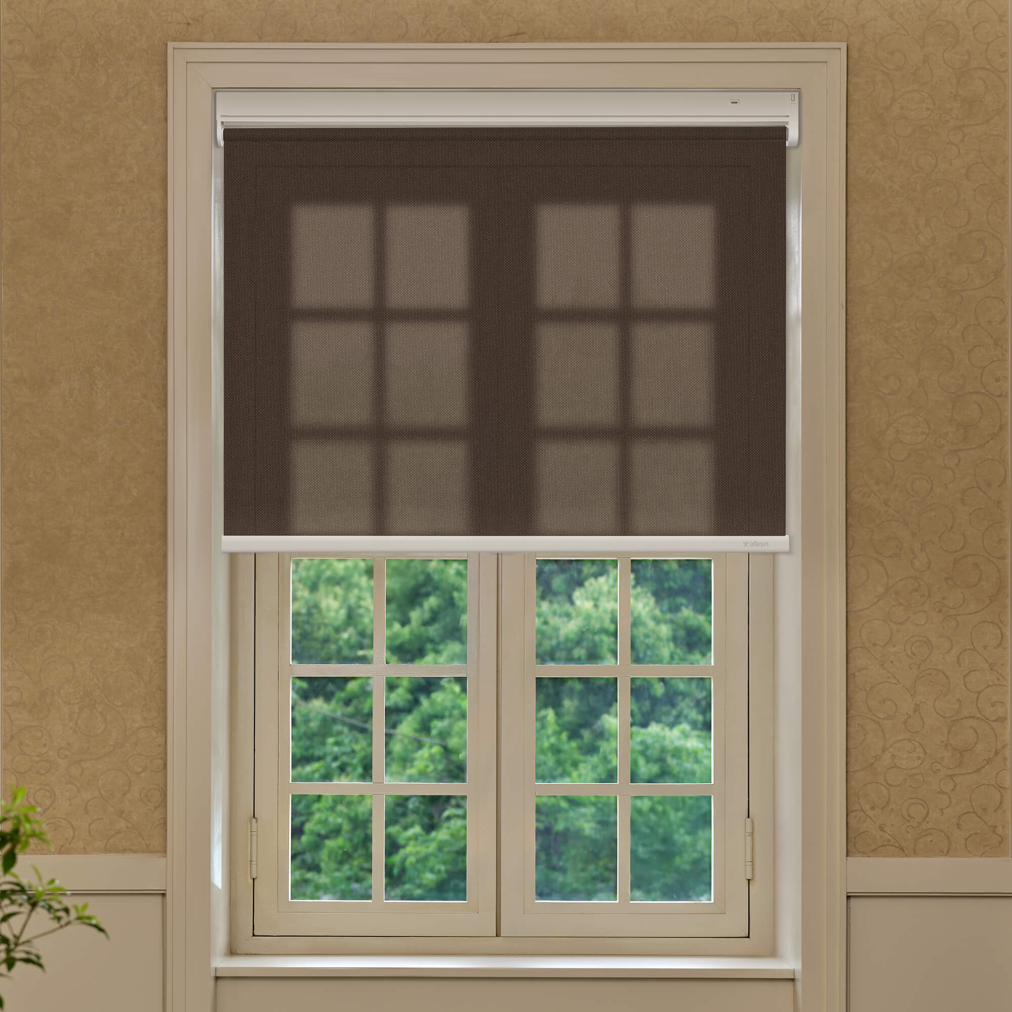 Allesin Best-Value Motorized Light Filtering Roller Shades