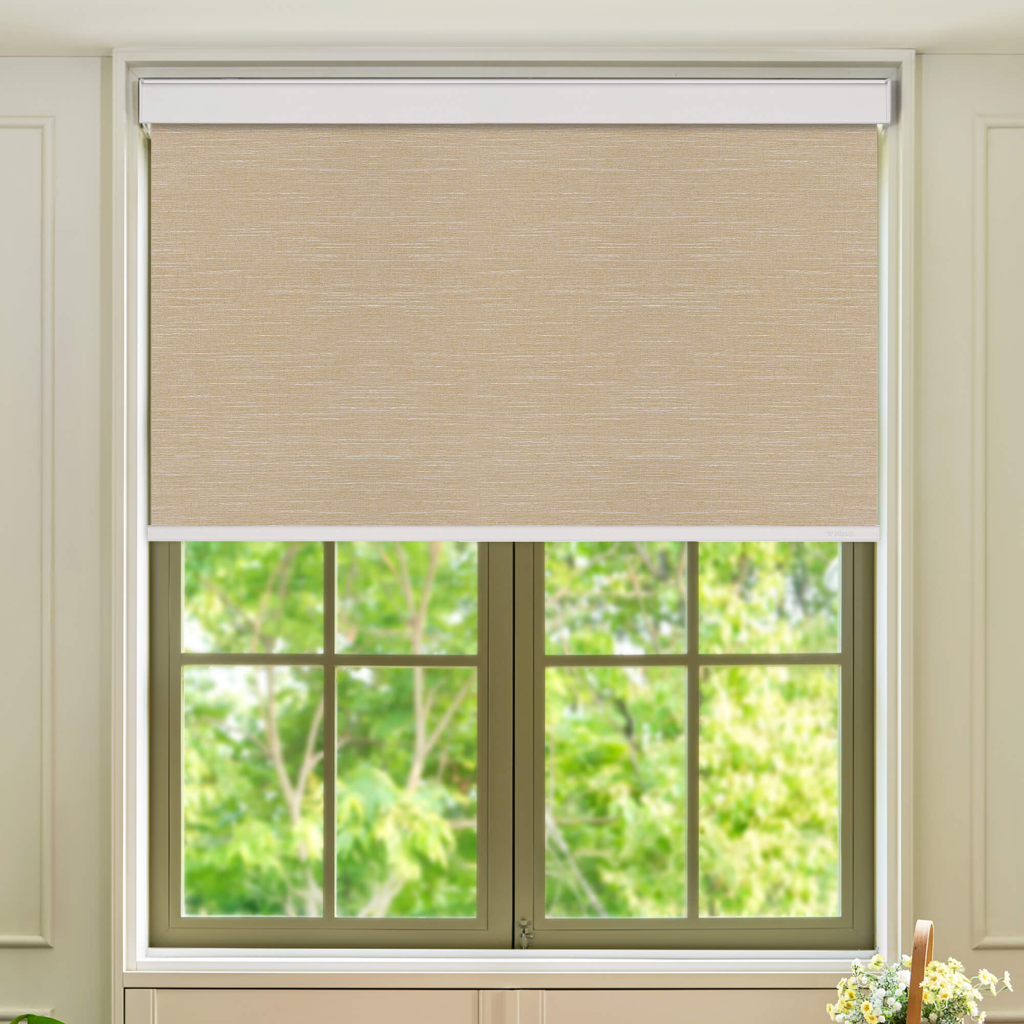 Allesin Select Motorized Blackout Roller Shades