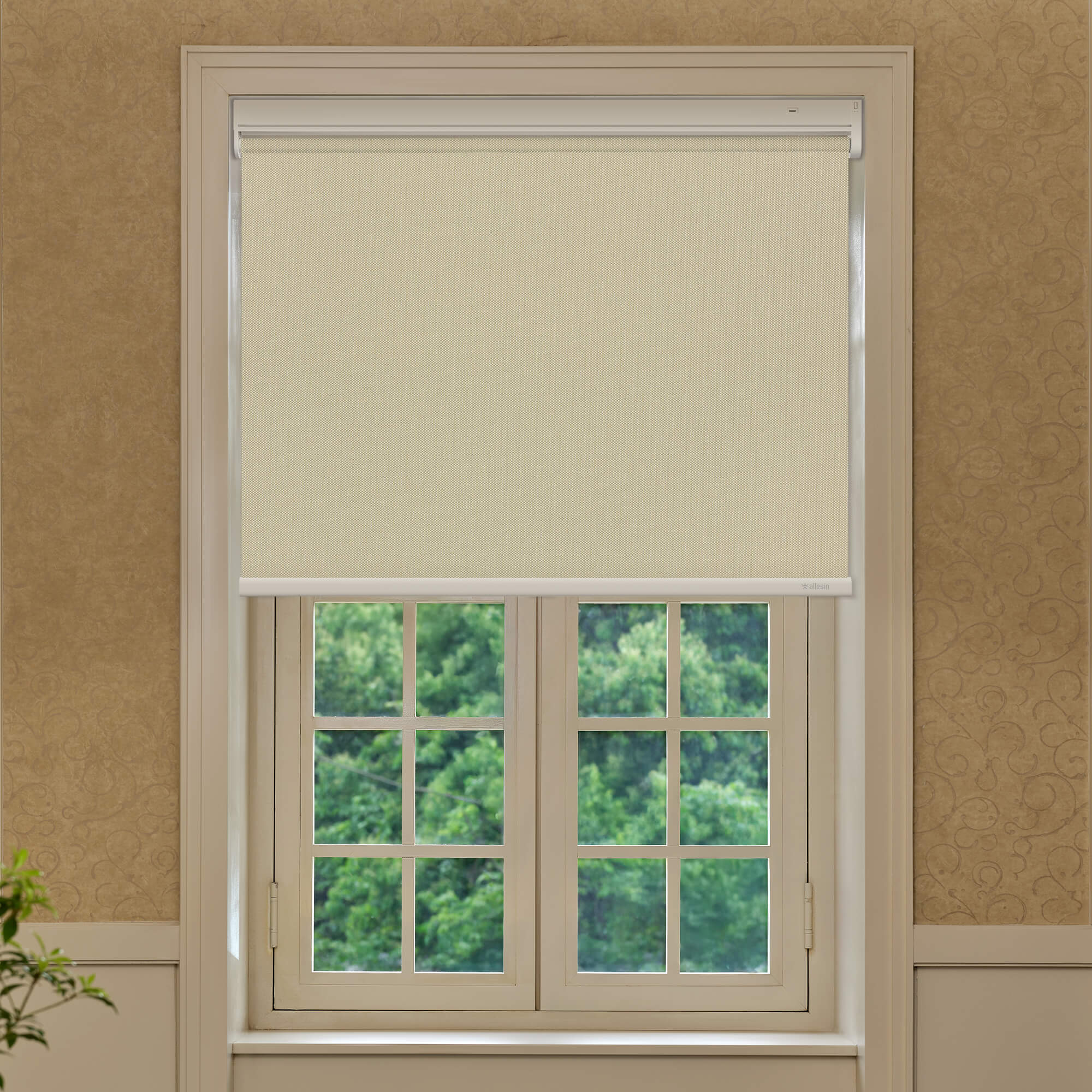 Allesin Best-Value Motorized Blackout Roller Shades