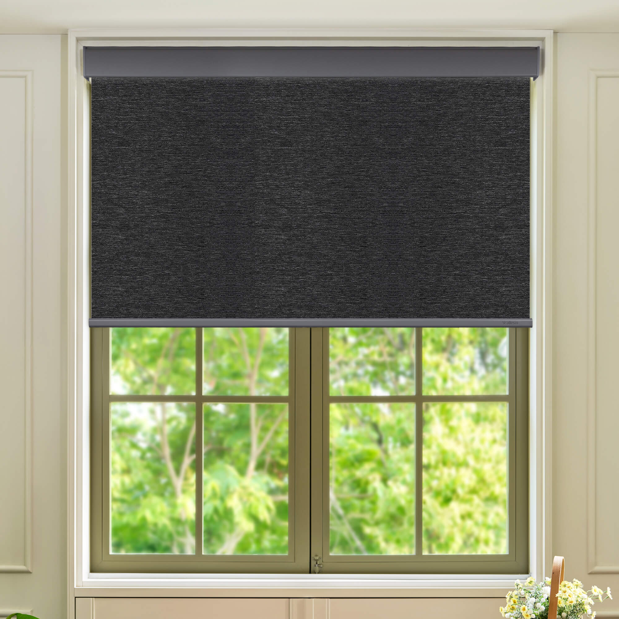 Allesin Select Motorized Blackout Roller Shades