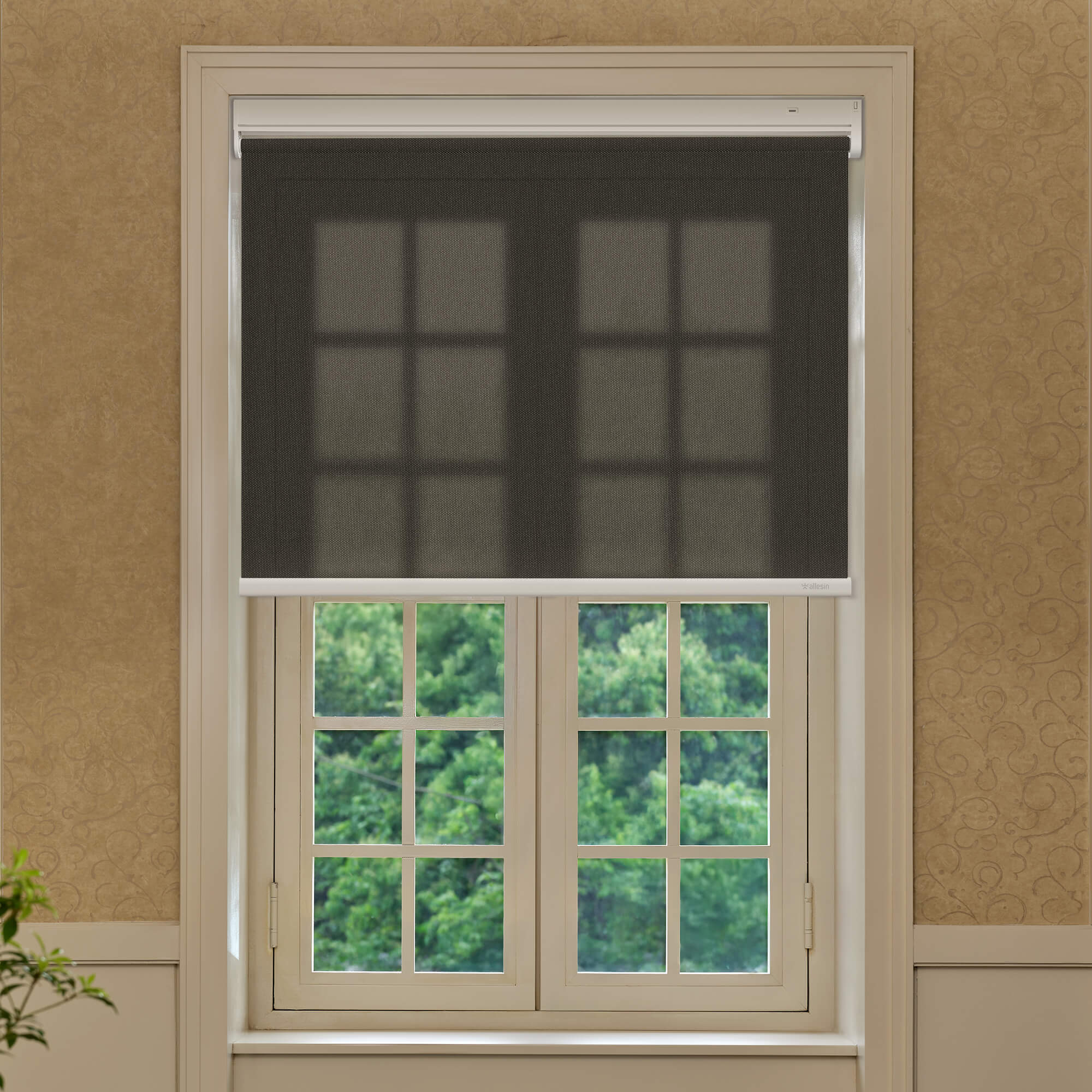 Allesin Best-Value Motorized Light Filtering Roller Shades