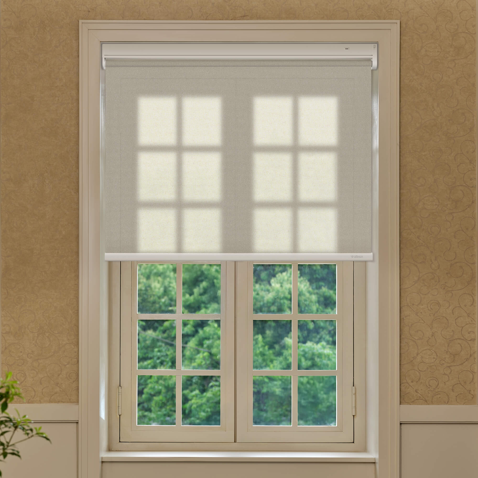 Allesin Best-Value Motorized Light Filtering Roller Shades