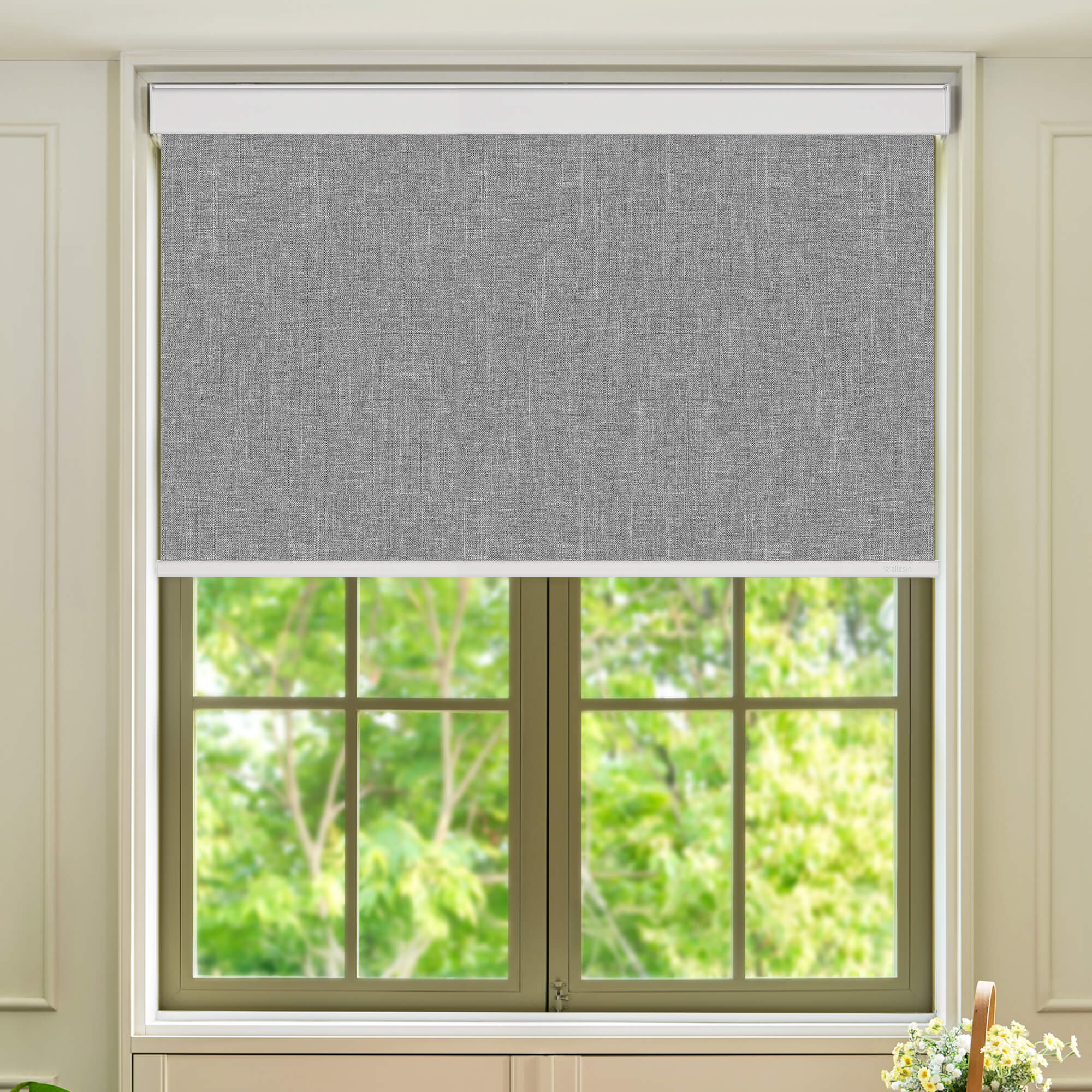 Allesin Select Motorized Blackout Roller Shades
