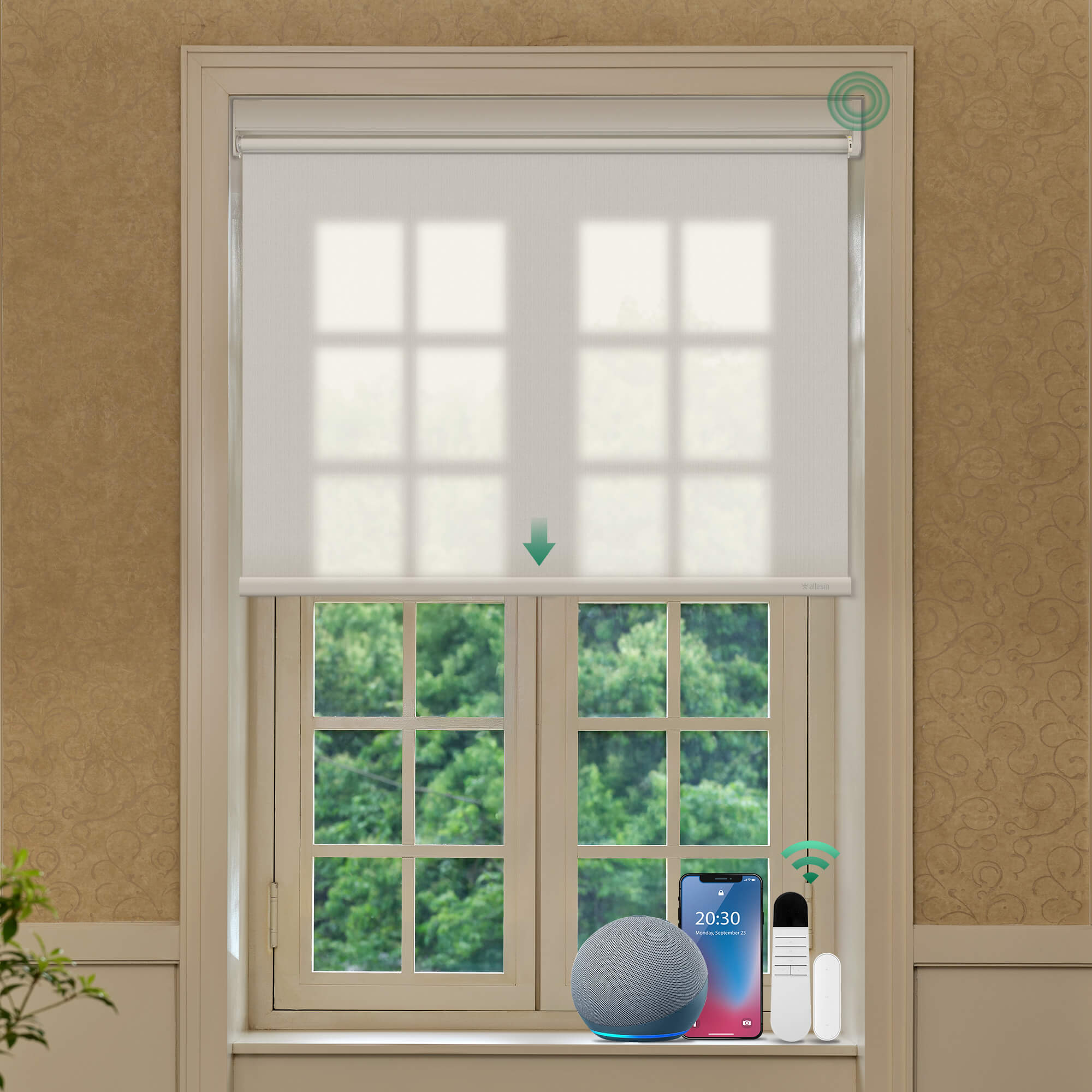 Allesin Best-Value Motorized Light Filtering Roller Shades