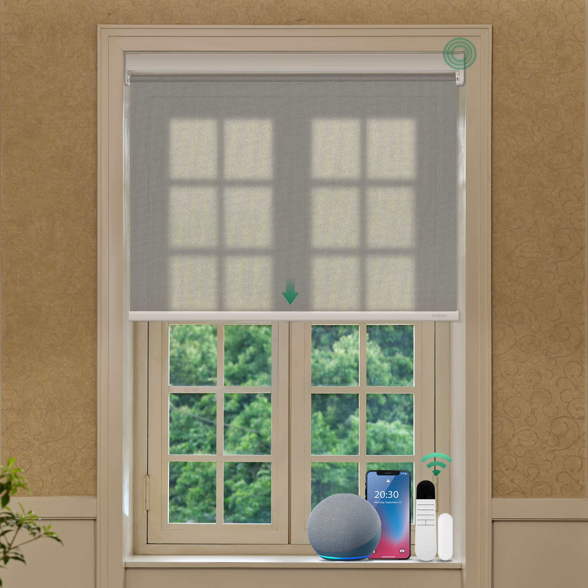 Allesin Best-Value Motorized Light Filtering Roller Shades