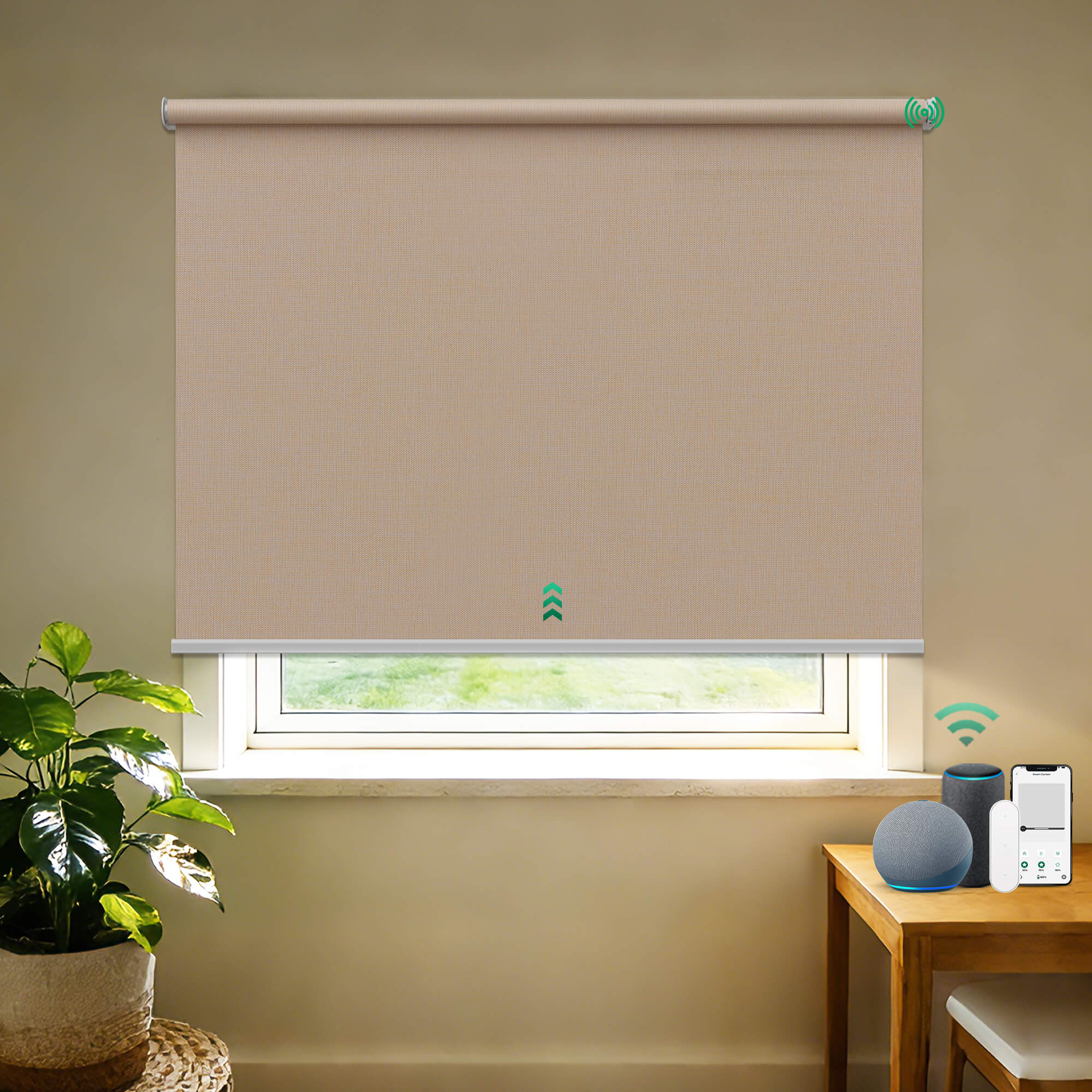 Allesin Outside Mount No-Drill Motorized Roller Shades