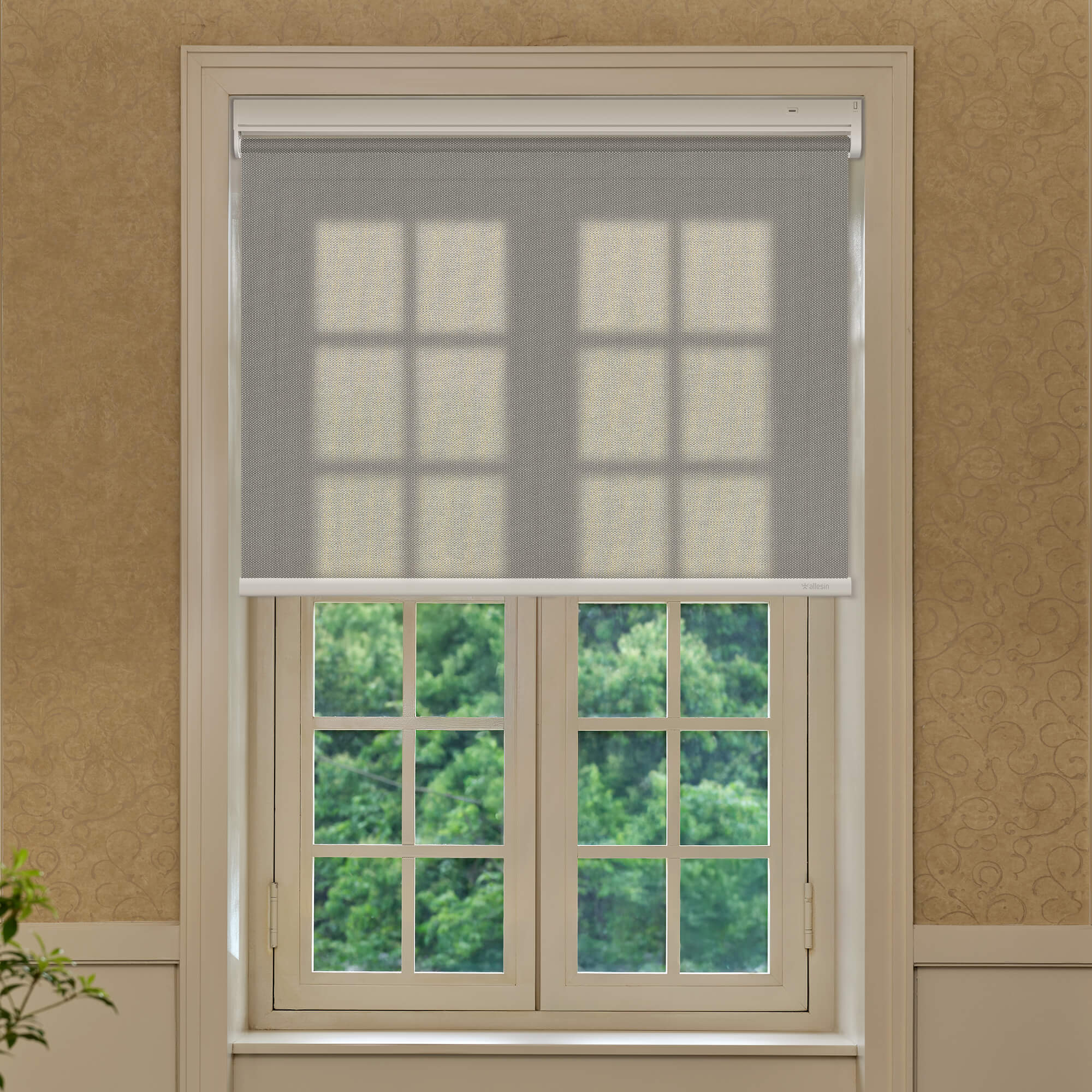 Allesin Best-Value Motorized Light Filtering Roller Shades