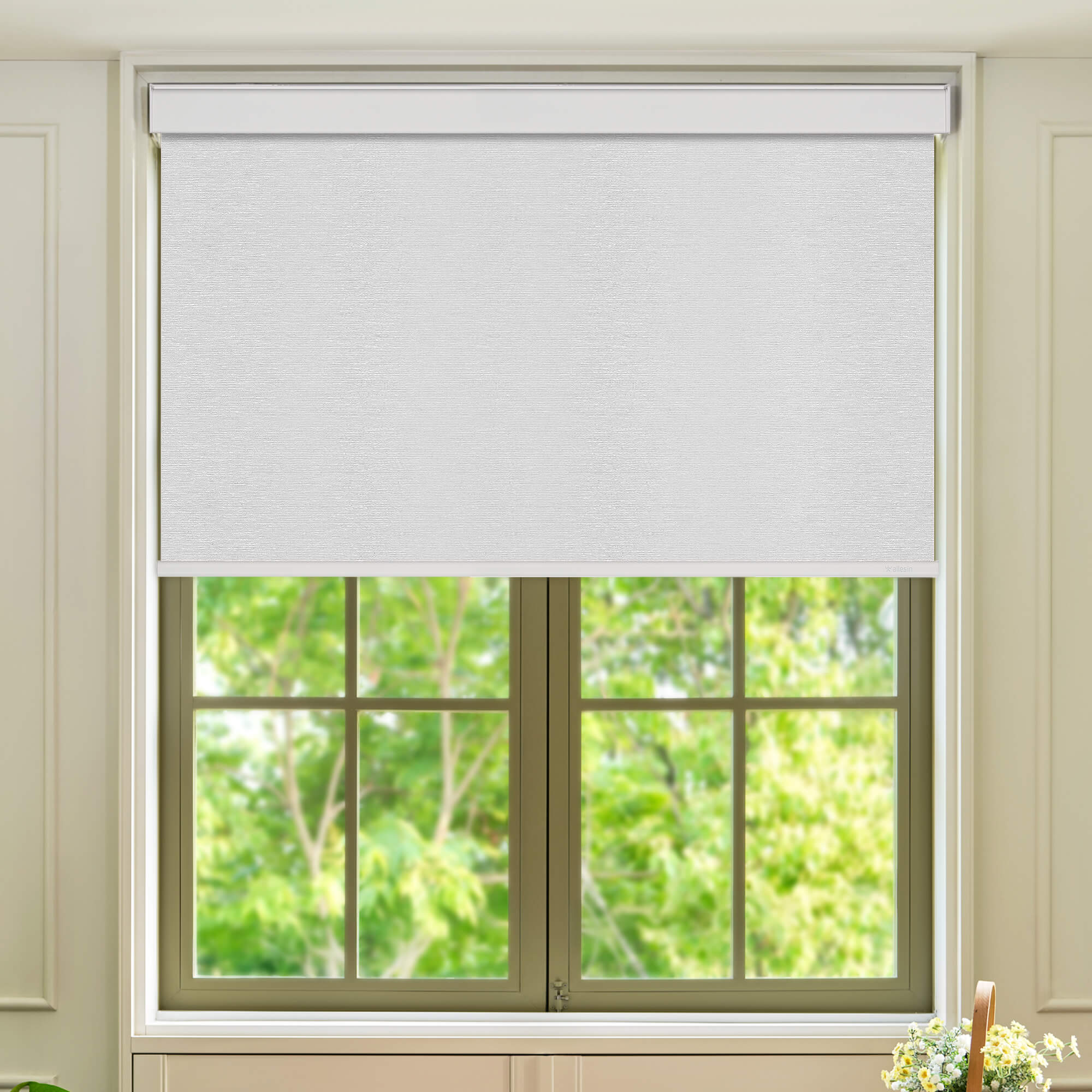Allesin Select Motorized Blackout Roller Shades
