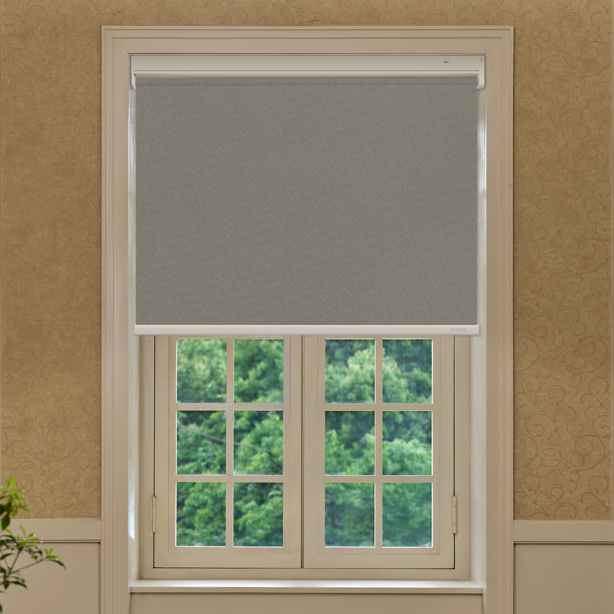 Allesin Best-Value Motorized Blackout Roller Shades