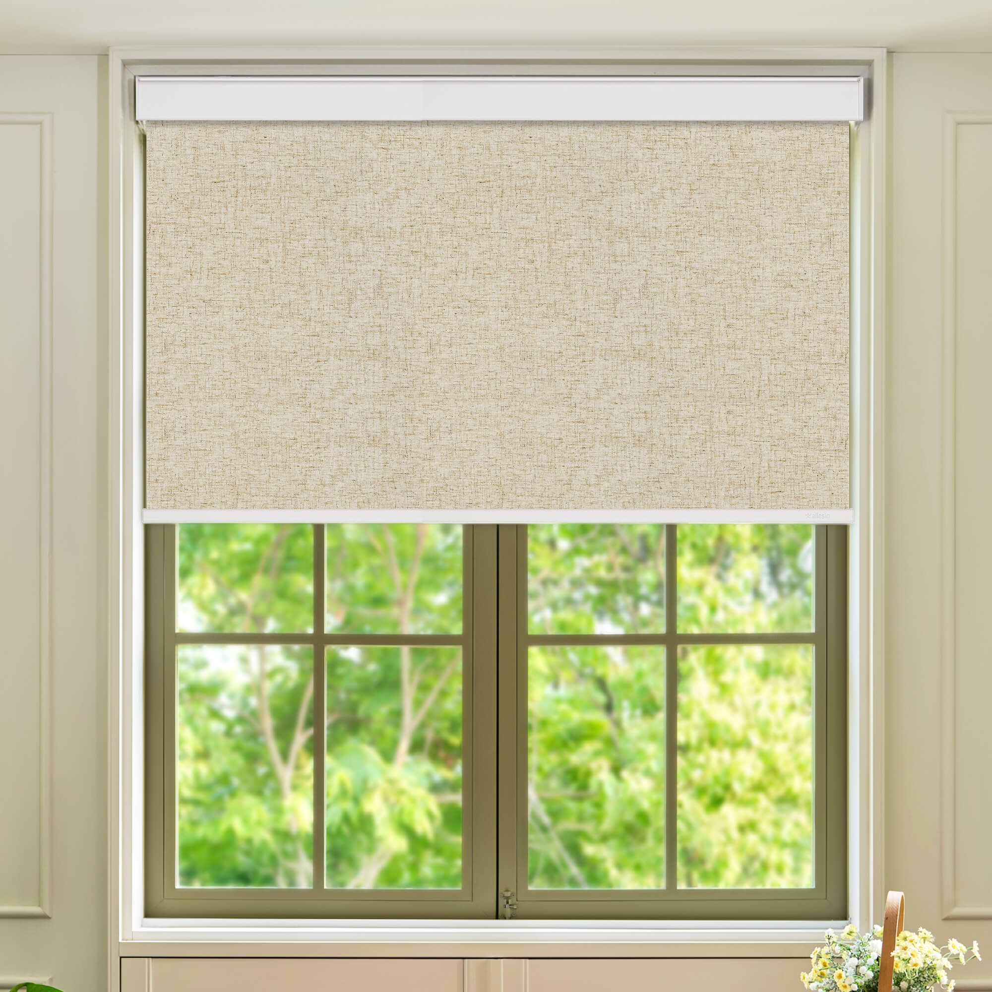 Allesin Select Motorized Blackout Roller Shades