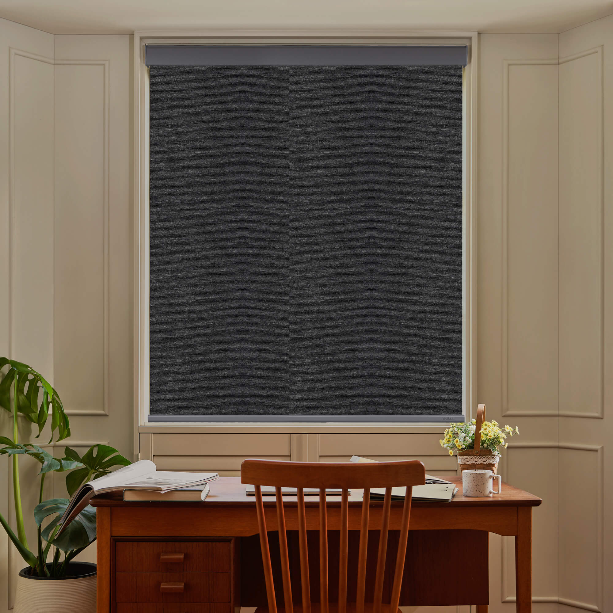 Allesin Select Motorized Blackout Roller Shades