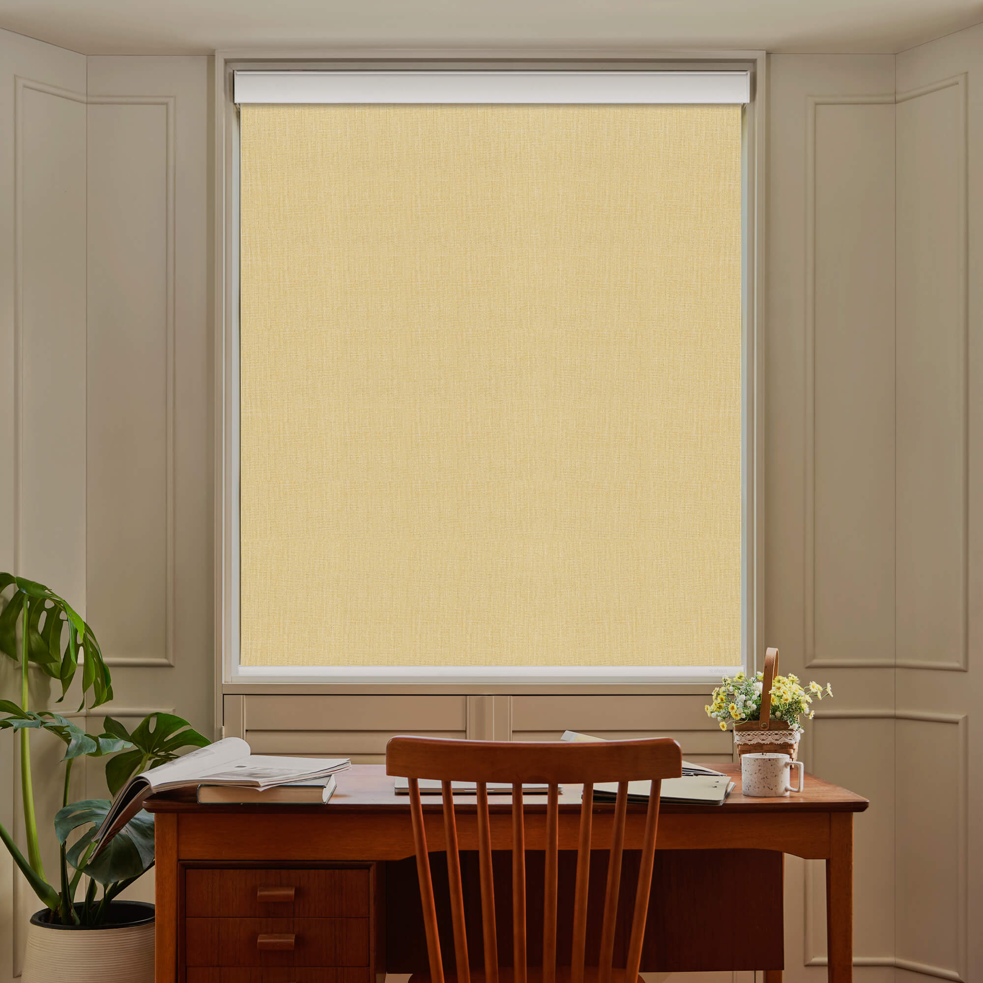 Allesin Select Motorized Blackout Roller Shades