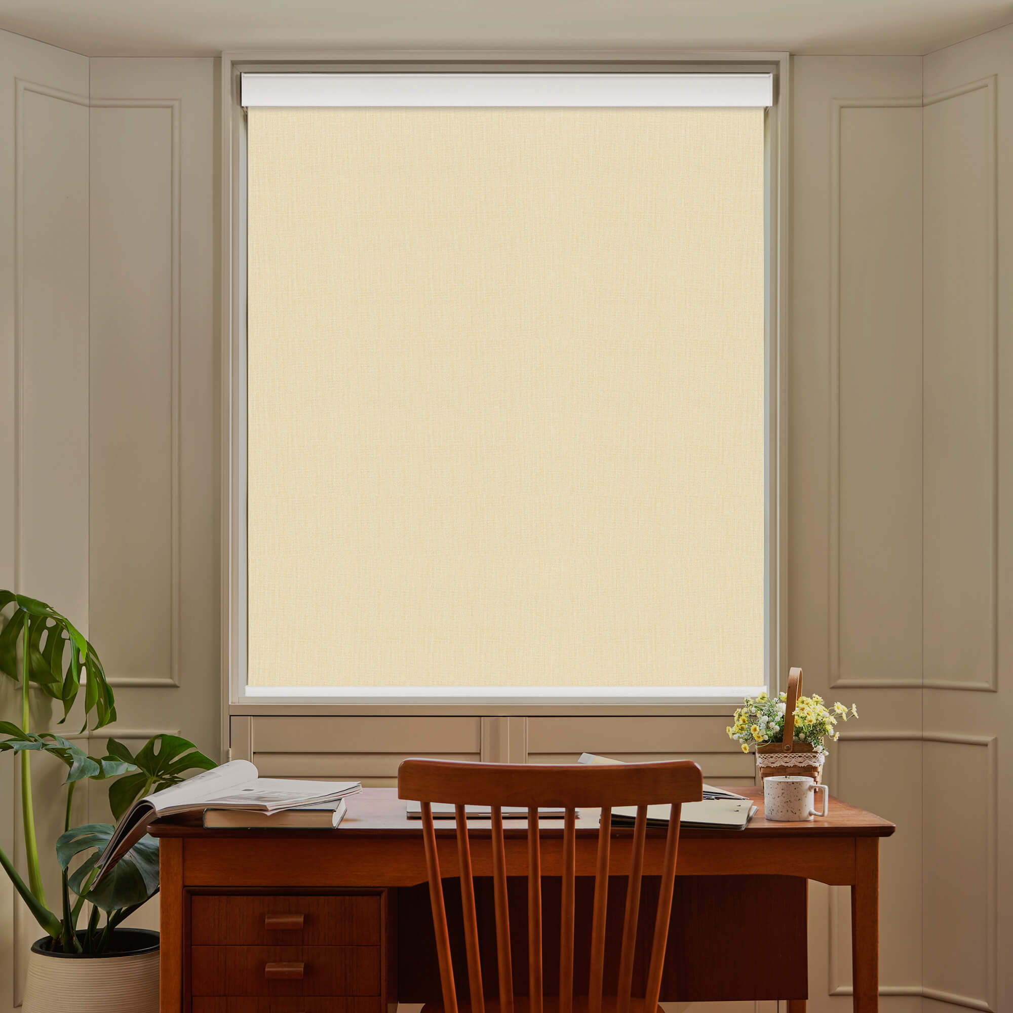 Allesin Select Motorized Blackout Roller Shades