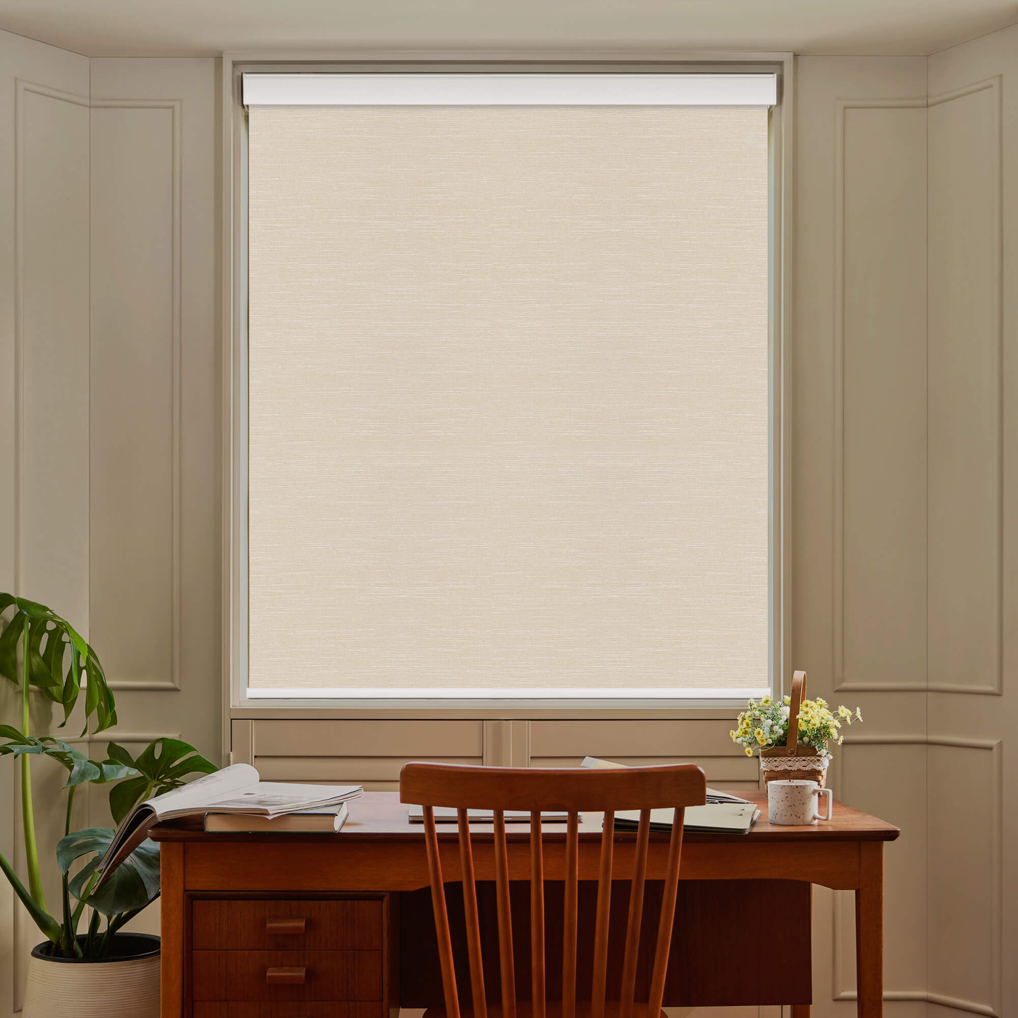 Allesin Select Motorized Blackout Roller Shades