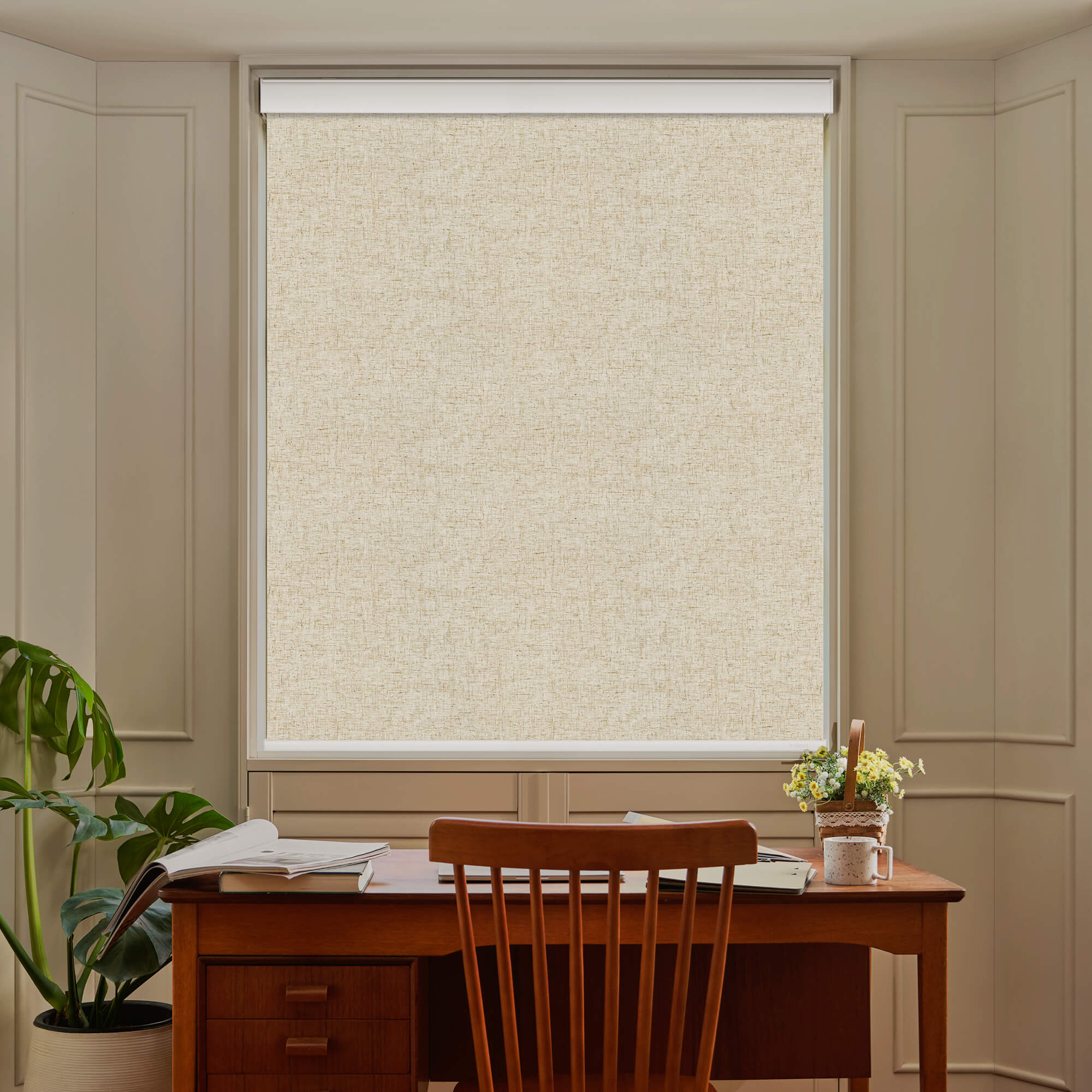 Allesin Select Motorized Blackout Roller Shades