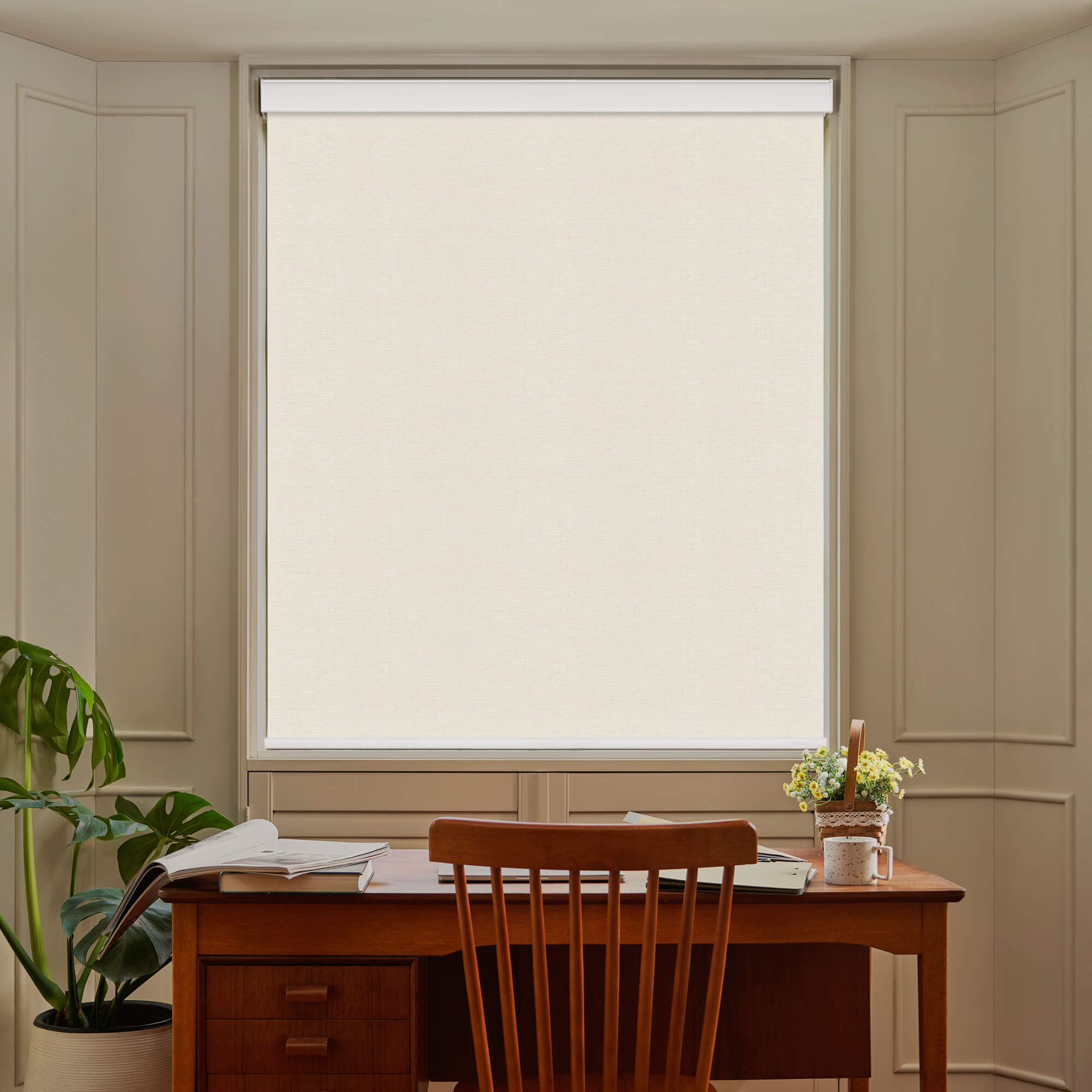 Allesin Select Motorized Blackout Roller Shades