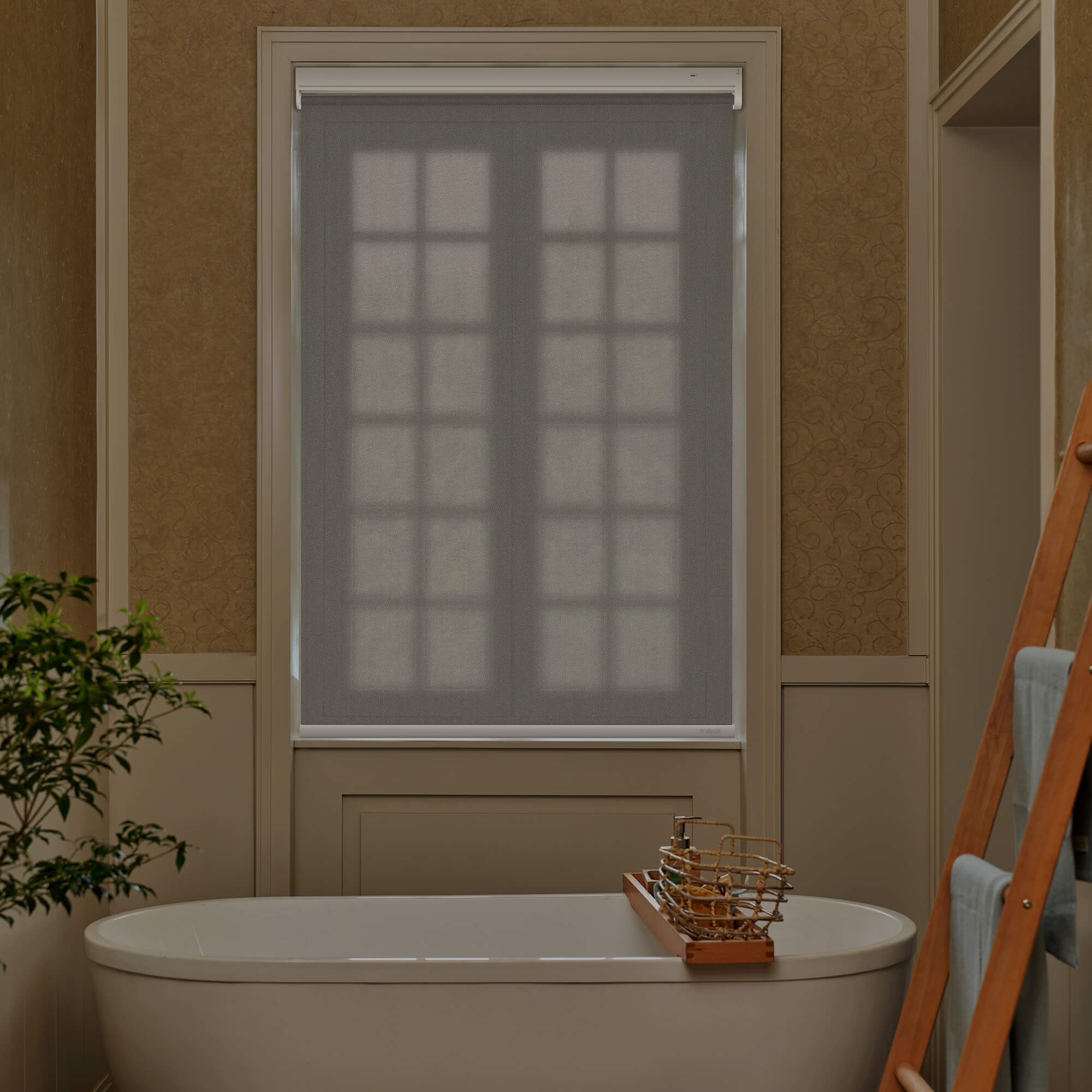 Allesin Best-Value Motorized Light Filtering Roller Shades