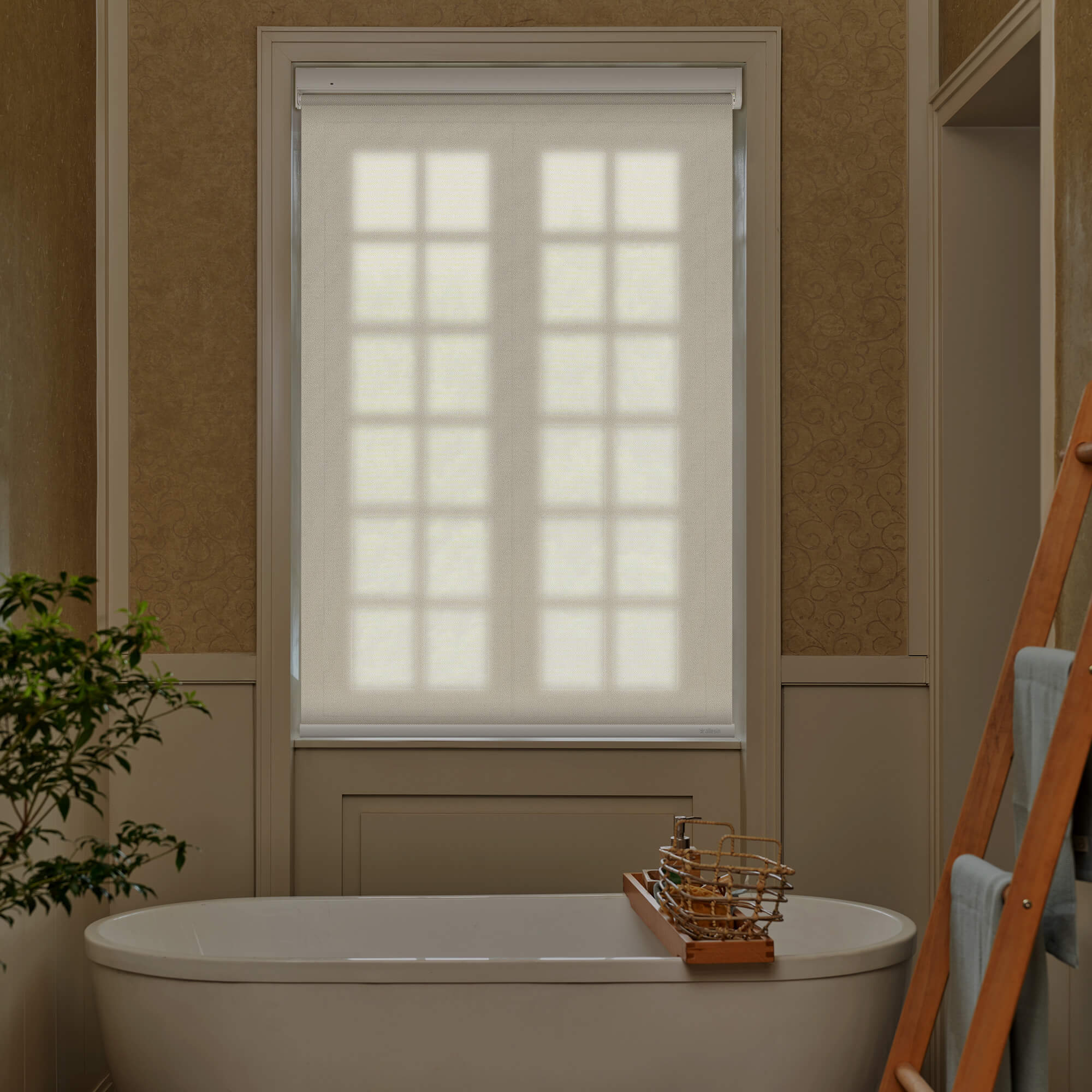 Allesin Best-Value Motorized Light Filtering Roller Shades