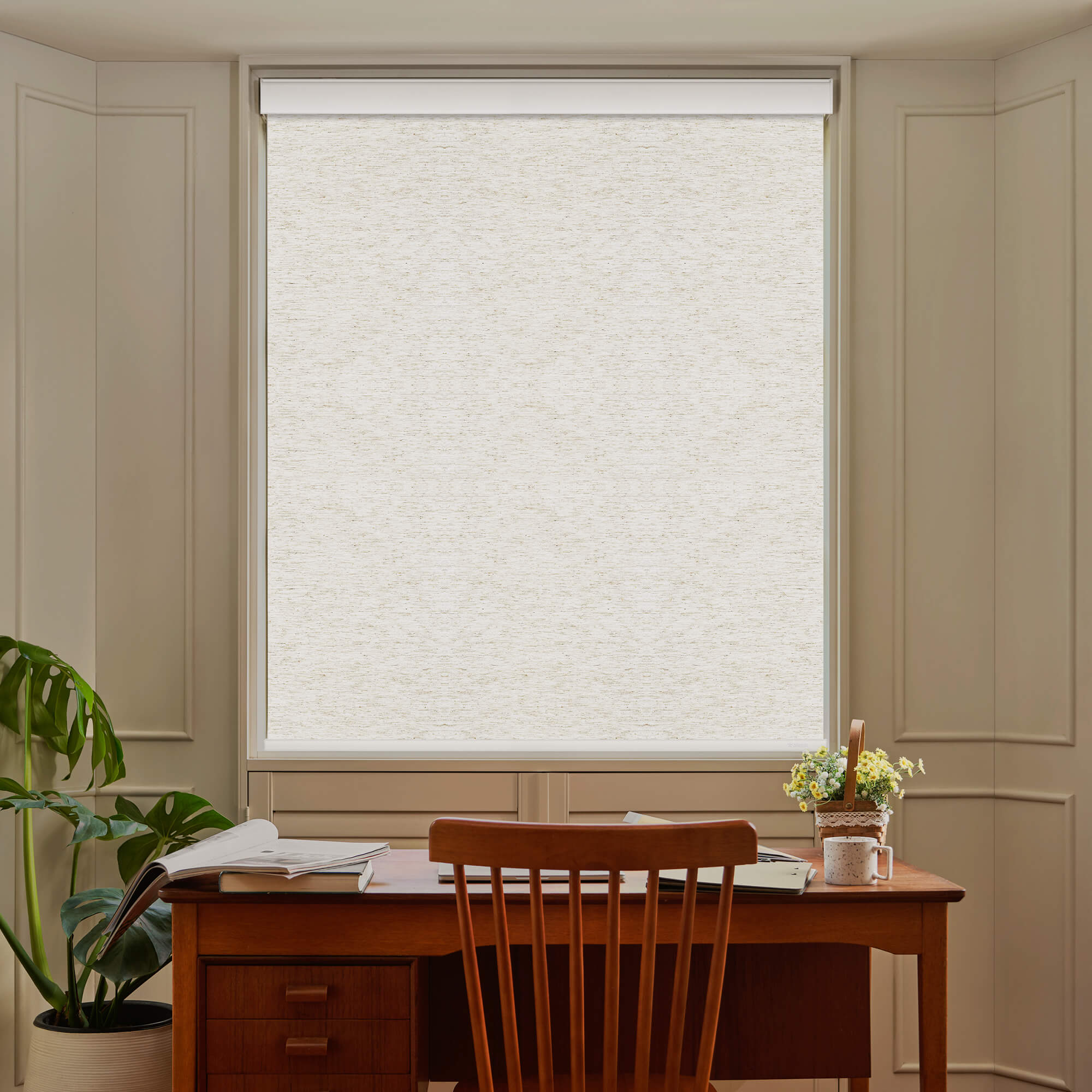 Allesin Select Motorized Blackout Roller Shades